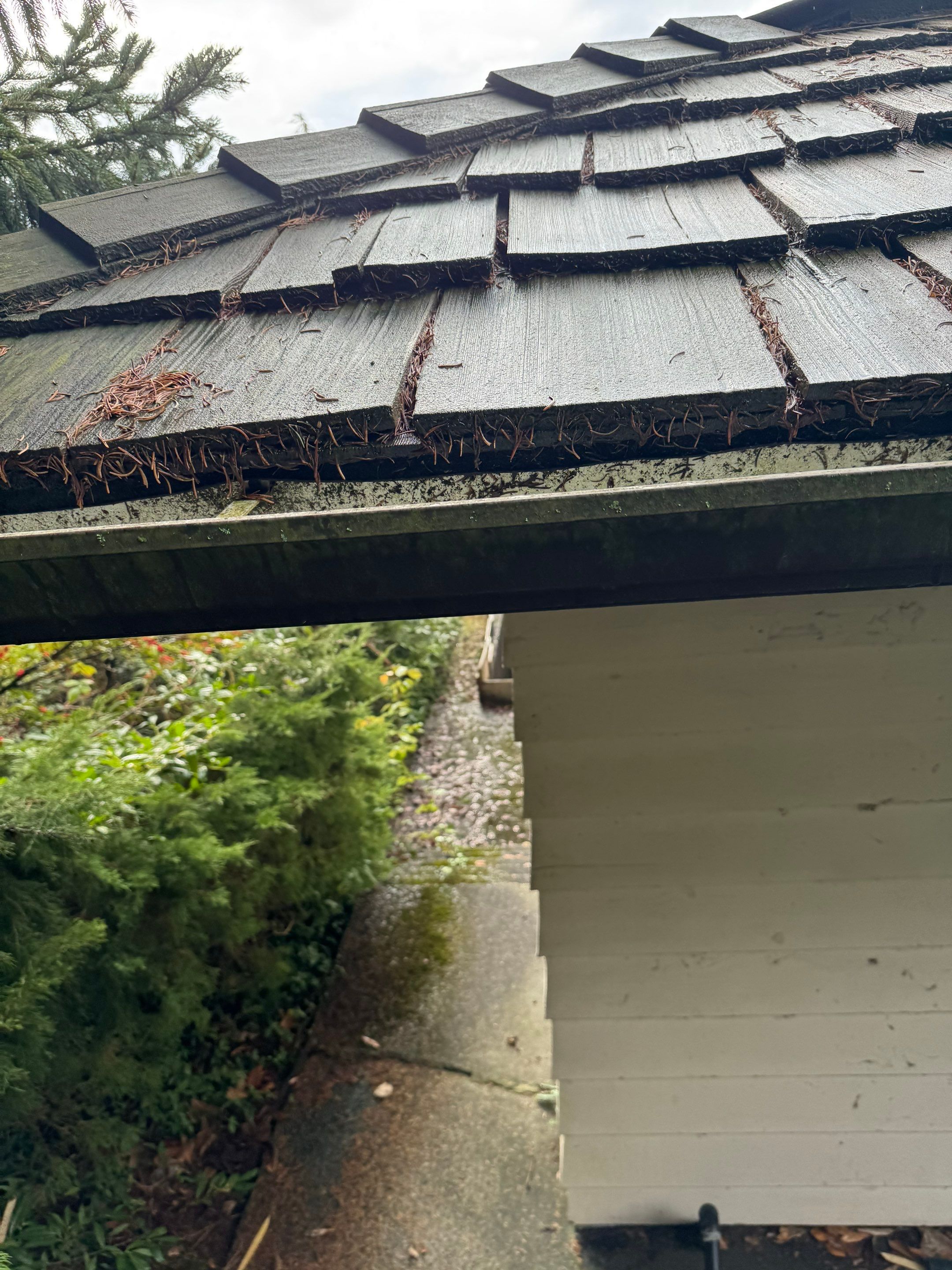 Handy man Repair for Sycamore Property  by YVR Construction Group