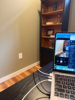Lincoln Basement Office Renovation with Sage Green Walls and Laminate Flooring