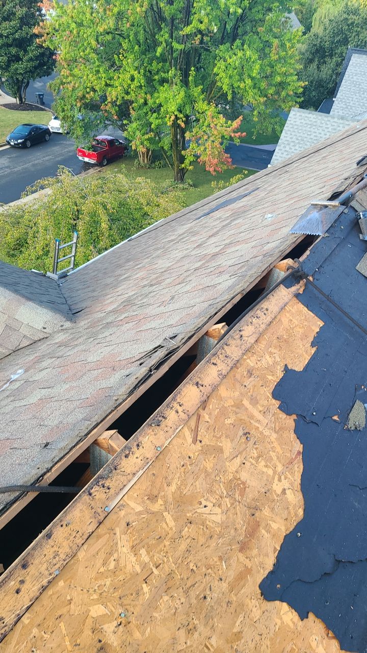 Dumfries: CertainTeed Landmark Pro Designer Shingles in Max Def Weathered Wood by RM Banning, Inc.