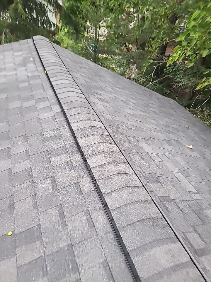 Vienna: CertainTeed Landmark Pro Architectural Shingles in Max Def Pewterwood by RM Banning, Inc.