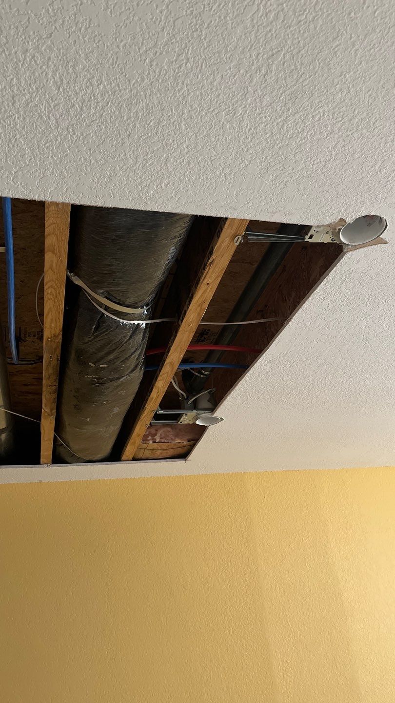 Mold Remediation by Accountable Home Services