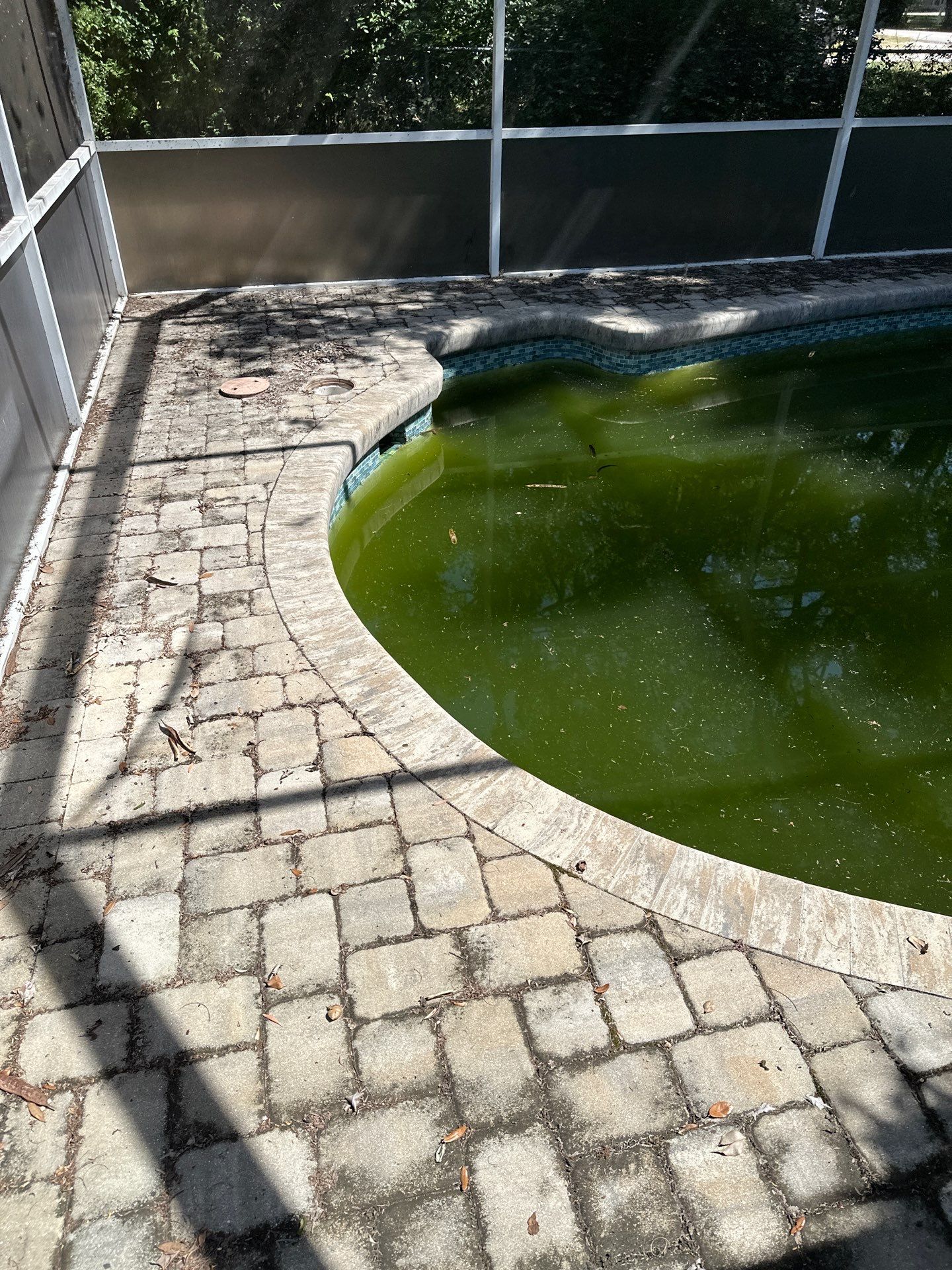 Paver Pool Deck Cleaning in Fair Oaks, Bradenton, FL | Sunshine AquaWash by Sunshine AquaWash
