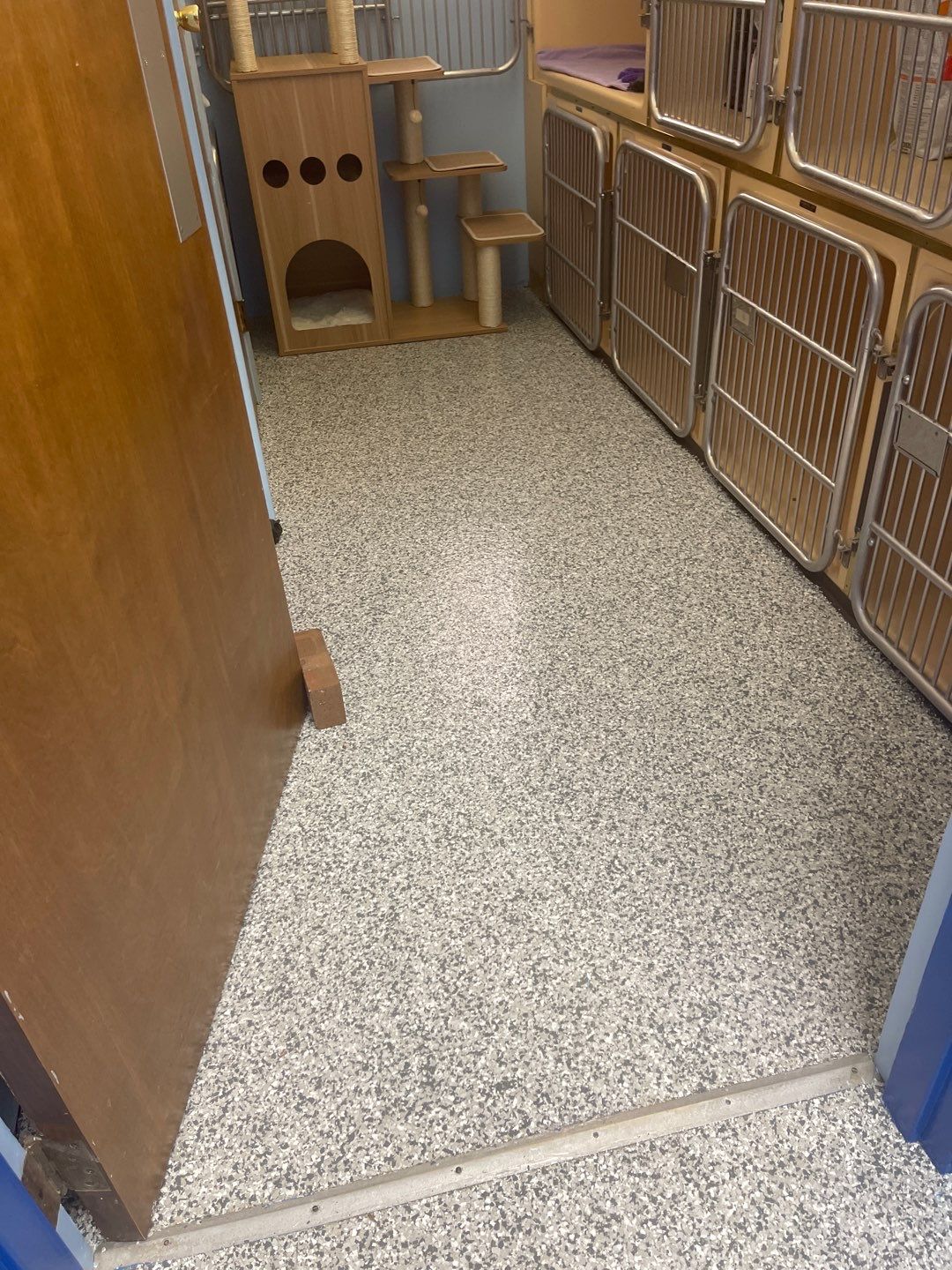 Cat Hospital Project in Pittsburgh by Floors in a Day, Inc