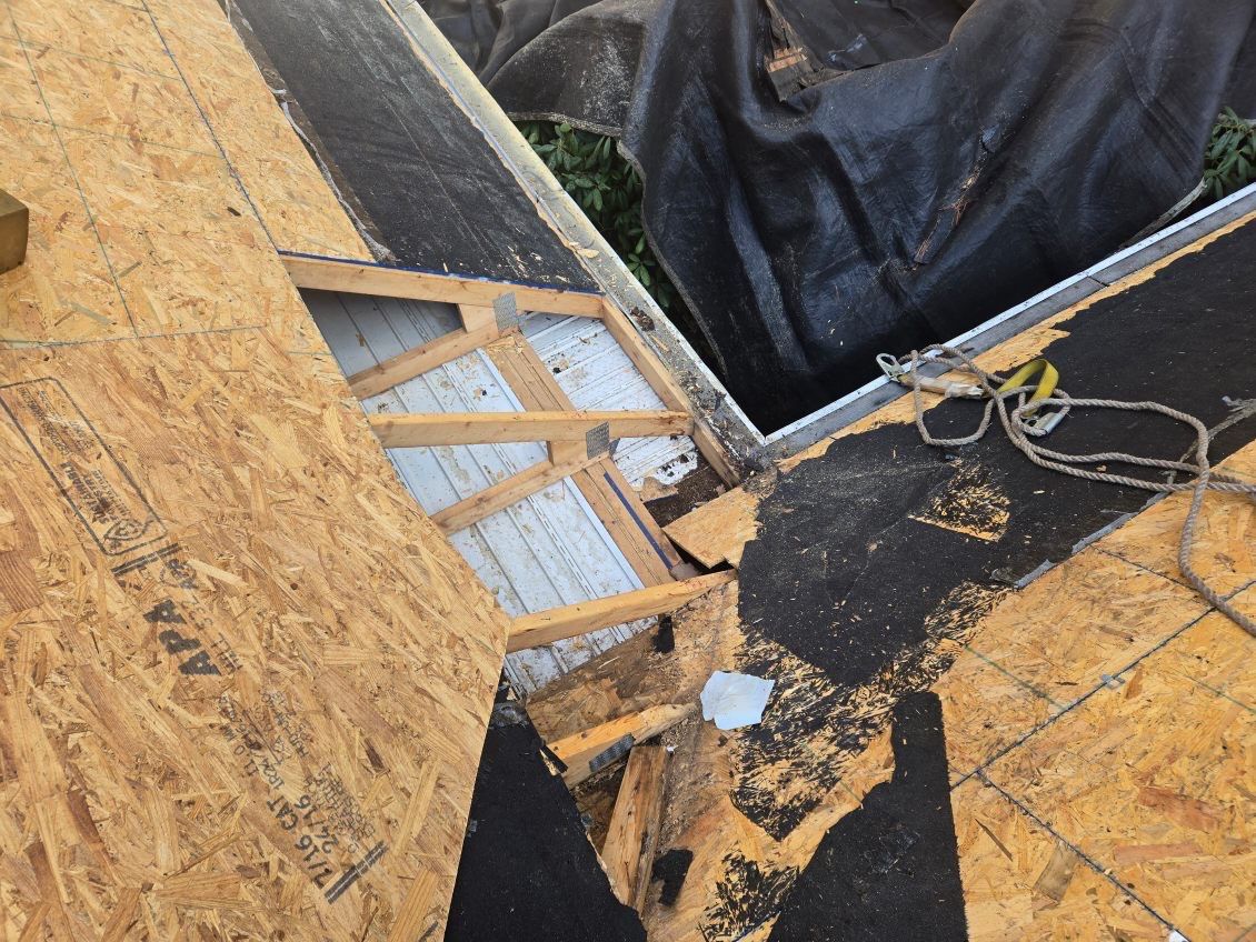 "Lightning-Fast Roof Replacement & Expert Flashing – Customer Delighted!" by Sensible Home Solutions
