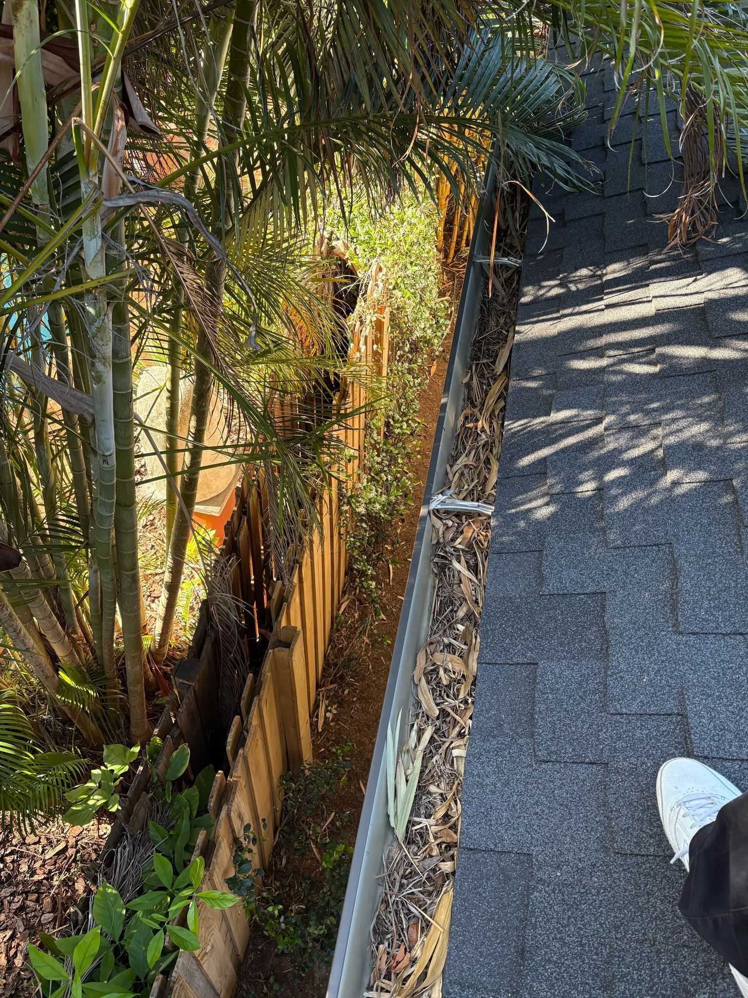 Gutter Cleaning Service in Sarasota FL by Gutter Professors