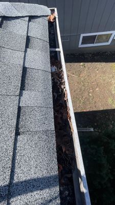 Turtle Shell gutter protection installation in St. Charles, IL 60174, photograph 5