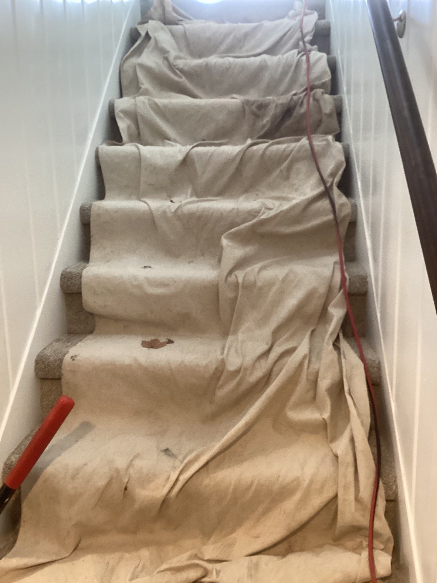 Mold Free Peace of Mind by Waterproofing Northeast