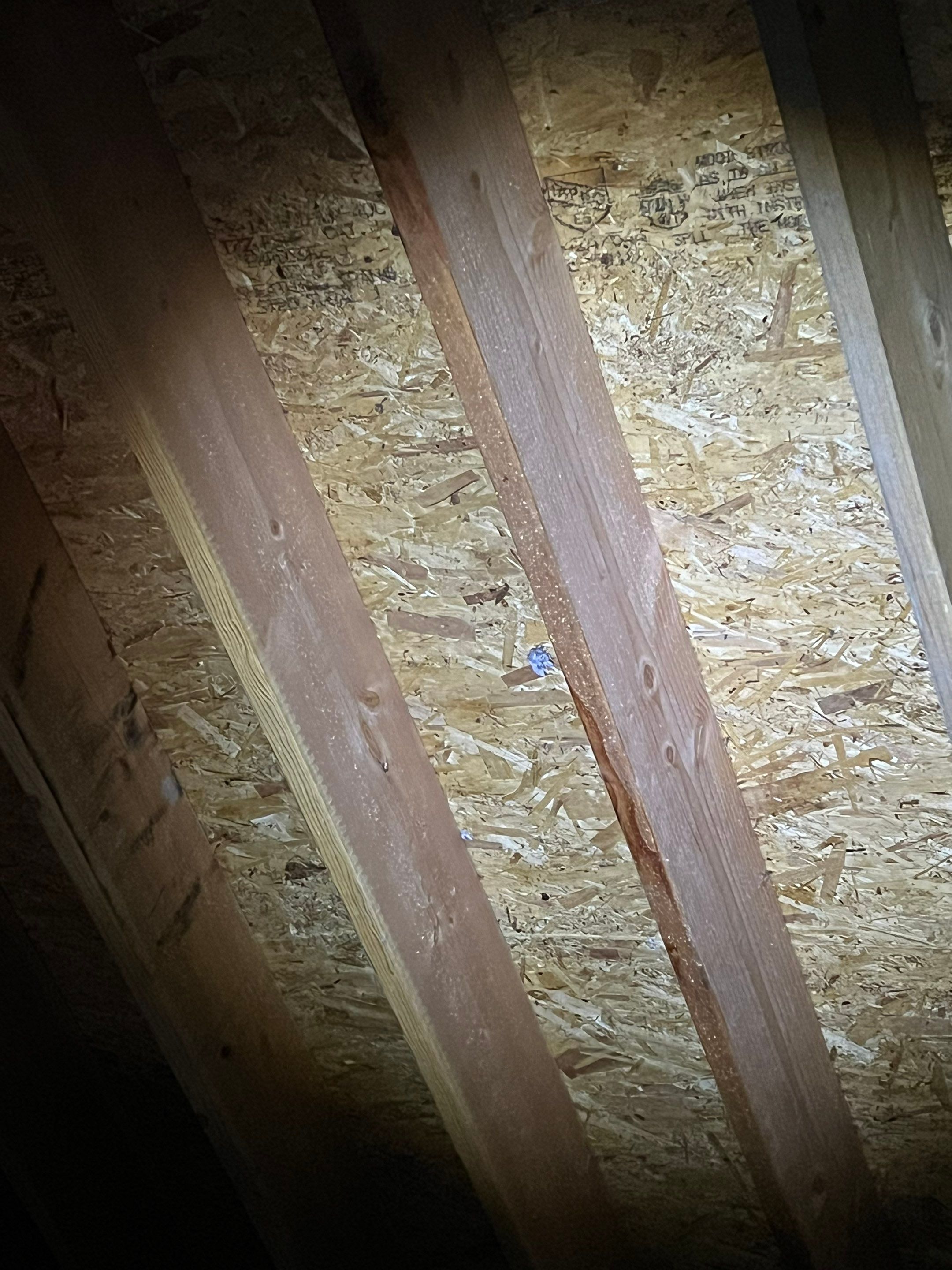 Ridge Vent & Cap Replacement – Brookline, NH by Mighty Dog Roofing of Greater Middlesex County