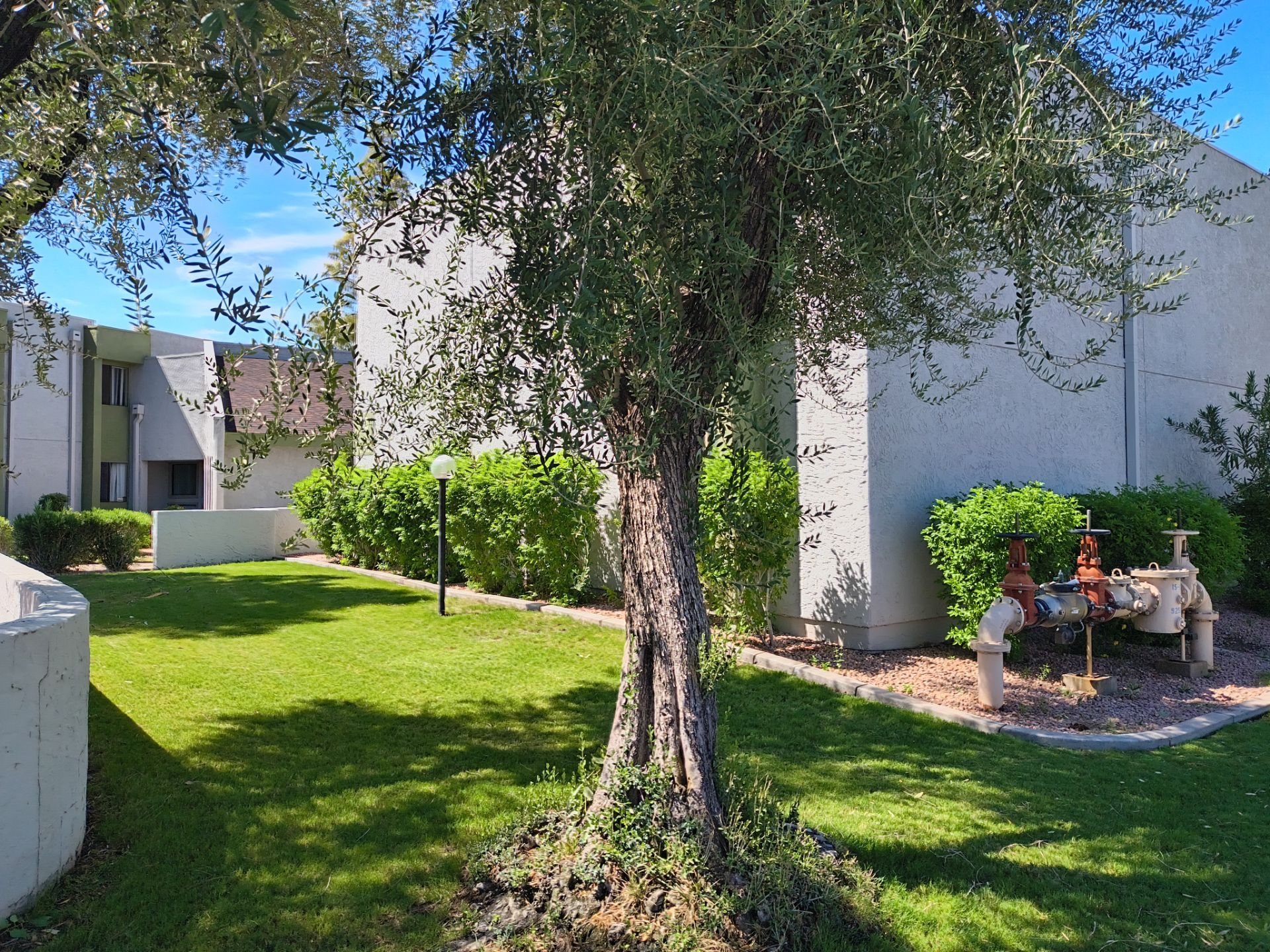 Mesa Apartment Flat Roof Coating and Interior Restoration Services by APM Builders LLC