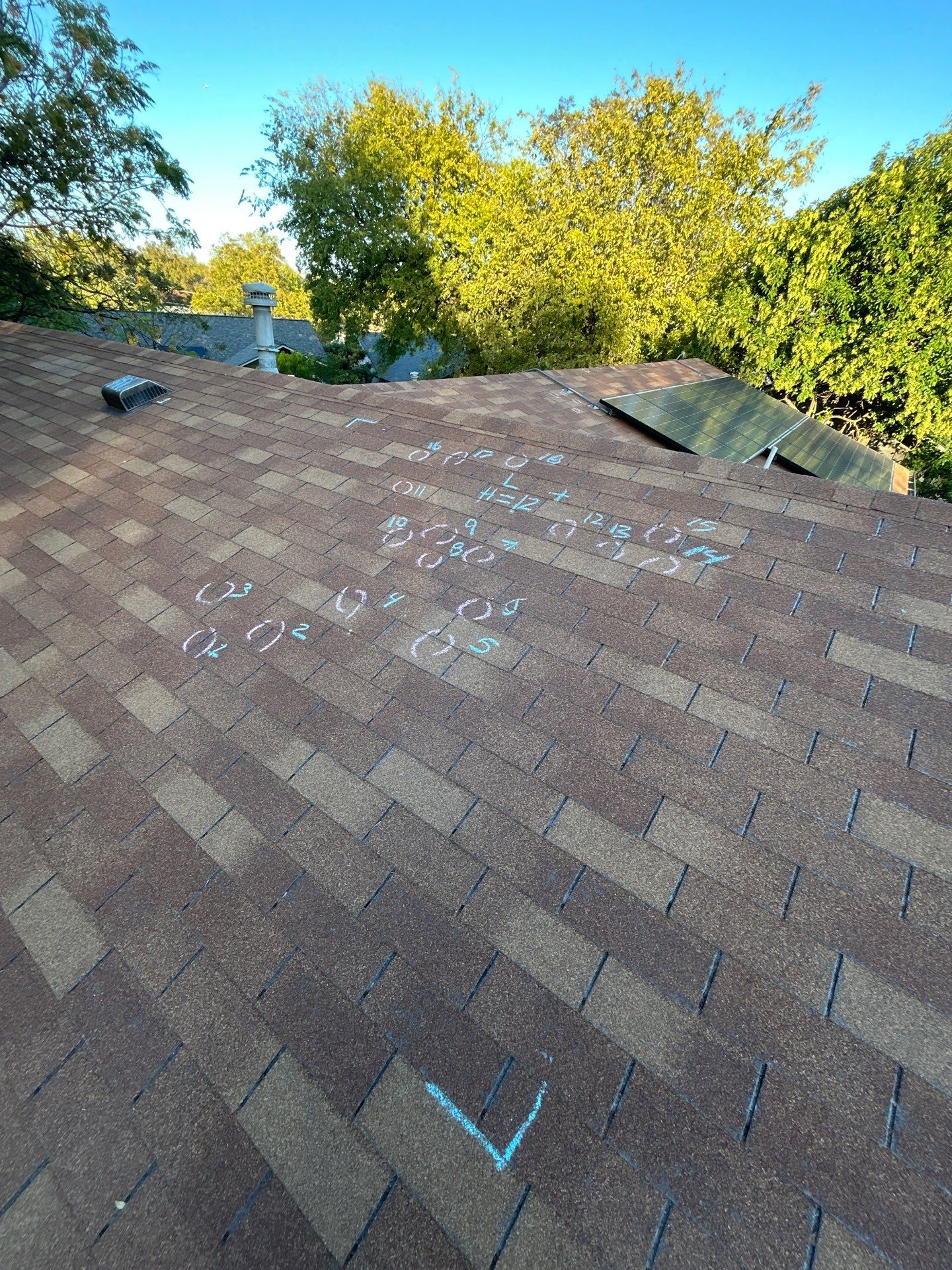 [Almost] All Trades by REPS OF TEXAS