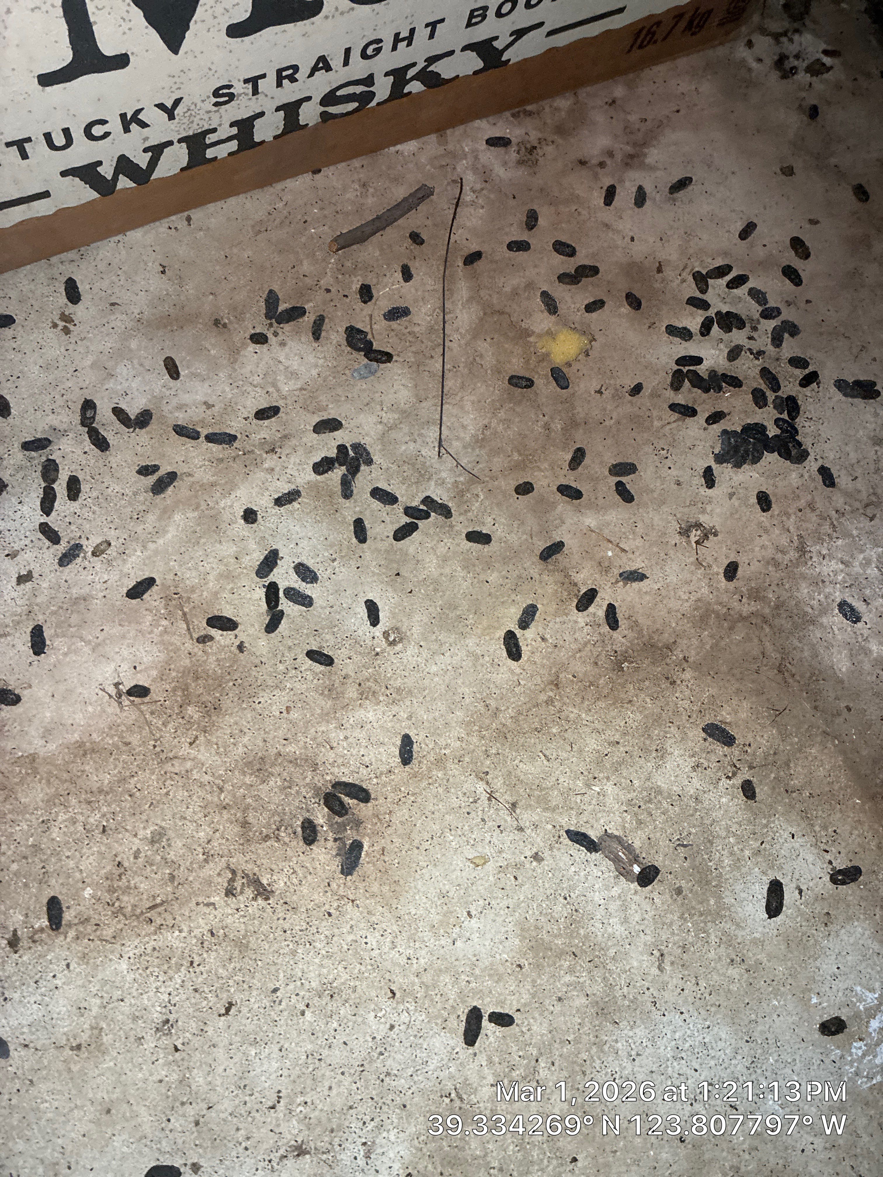 Project in Mendocino by 911 Hazmat Cleanup 