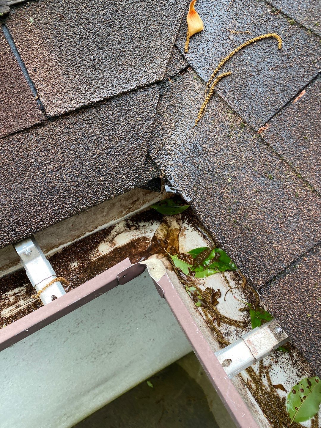 Arlington: CertainTeed Landmark Pro Designer Shingles in Max Def Shenandoah by RM Banning, Inc.