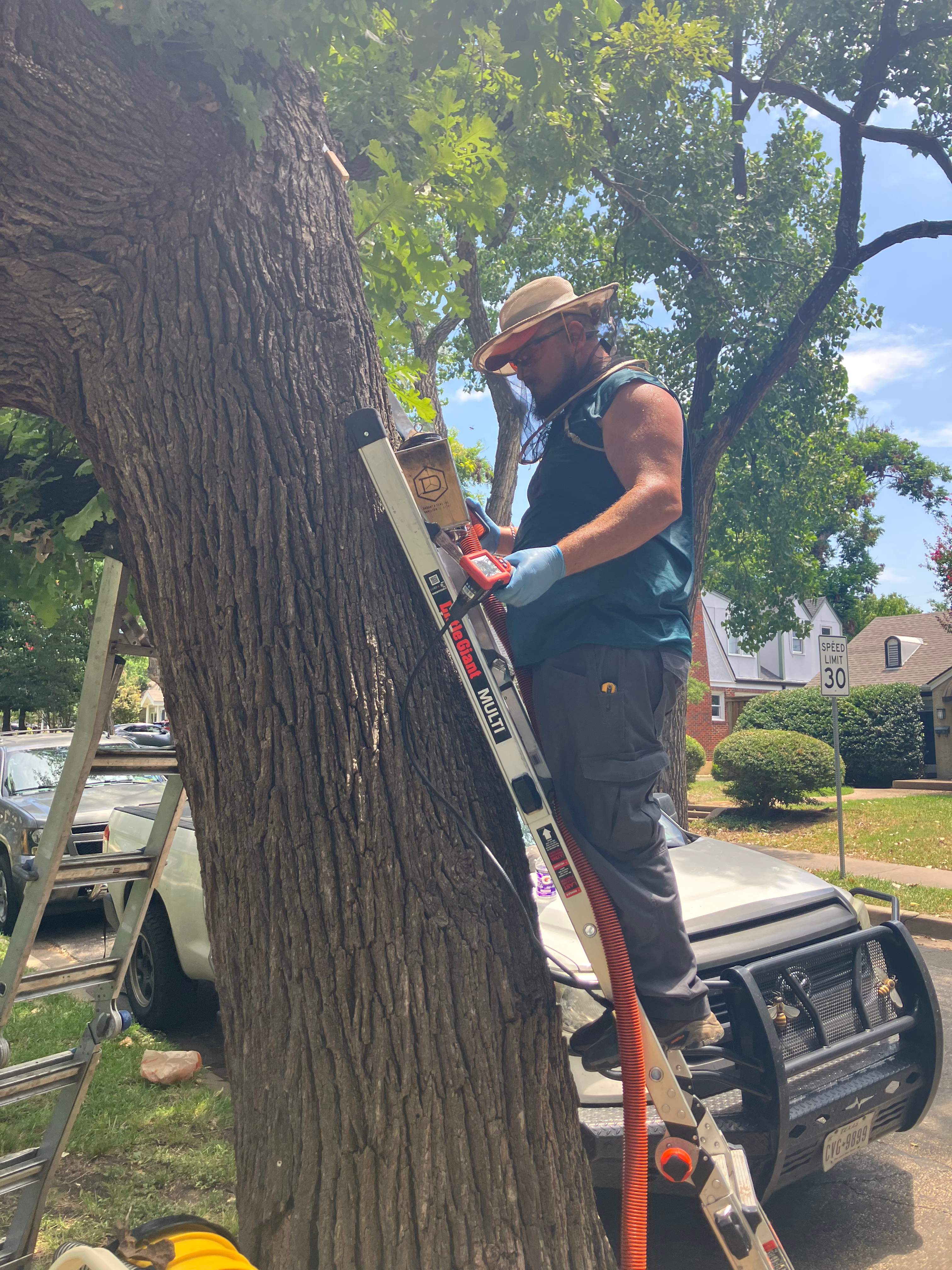 Tight Squeeze by Rockwall Honey Bee Company