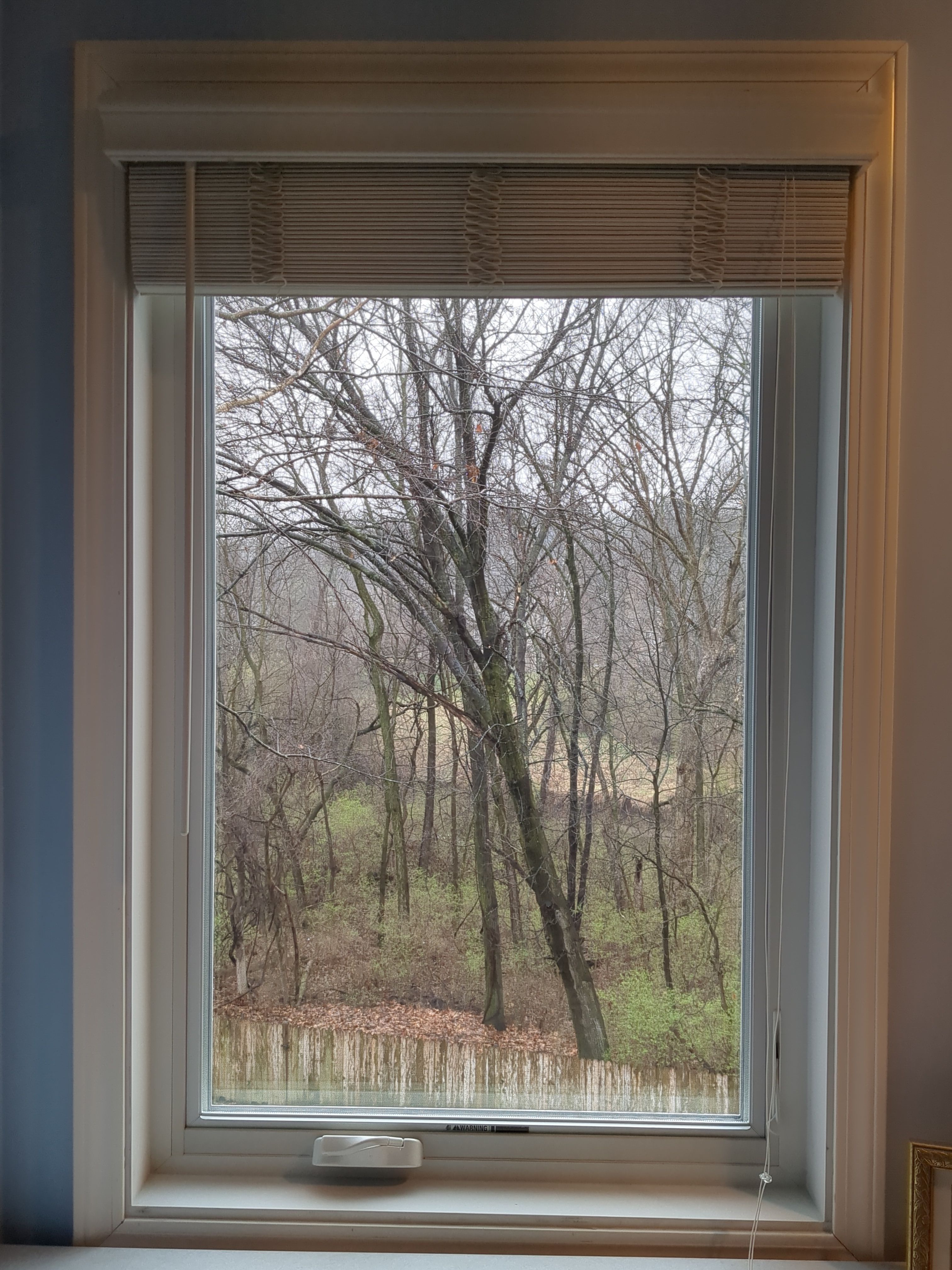 Marvin Essential Window Replacement in Shawnee by WINDURA