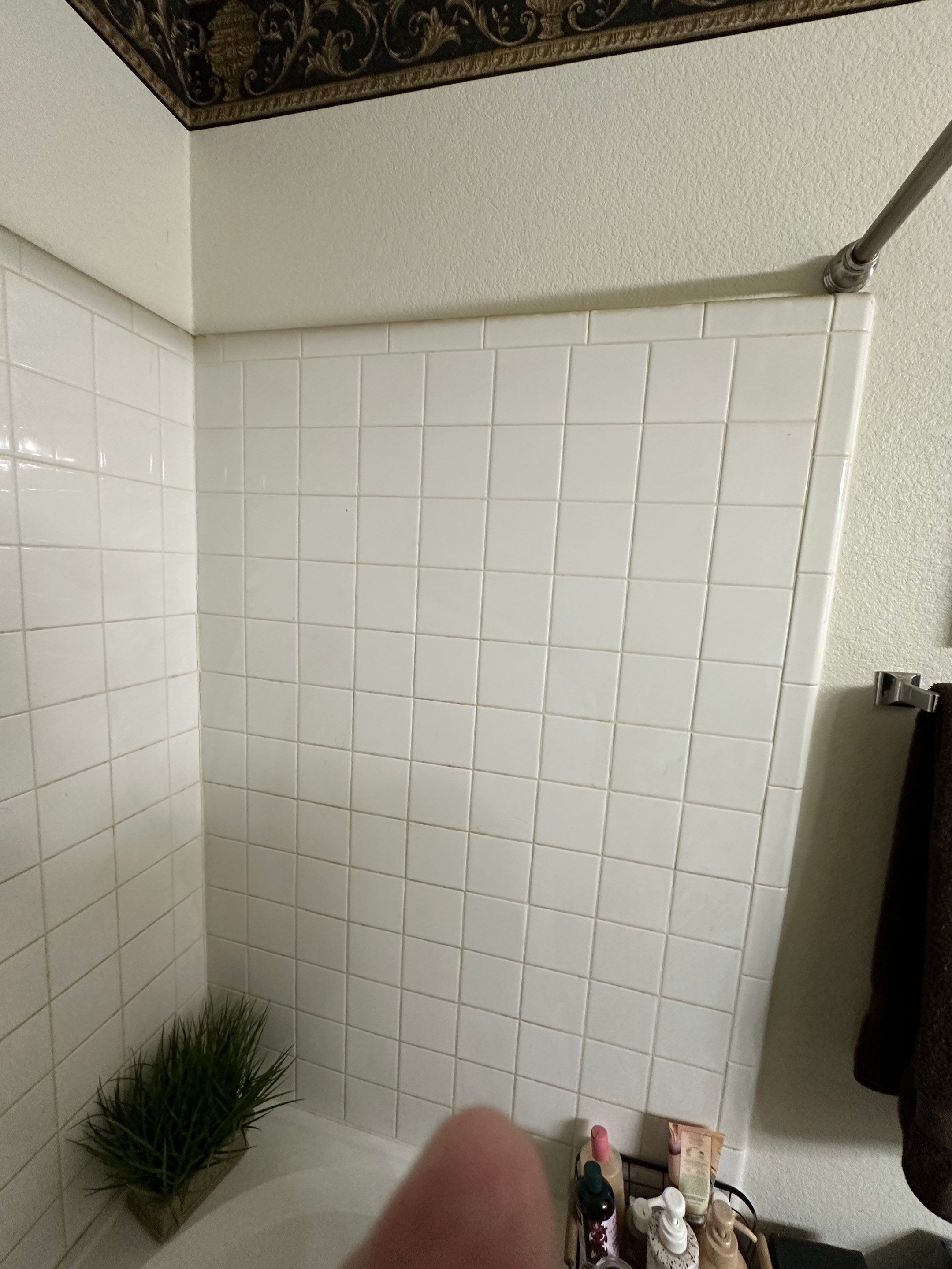 Tub to Walk-in Shower in Del Valle, 78617 by Lane Lauritsen - The Hill Country, Texas