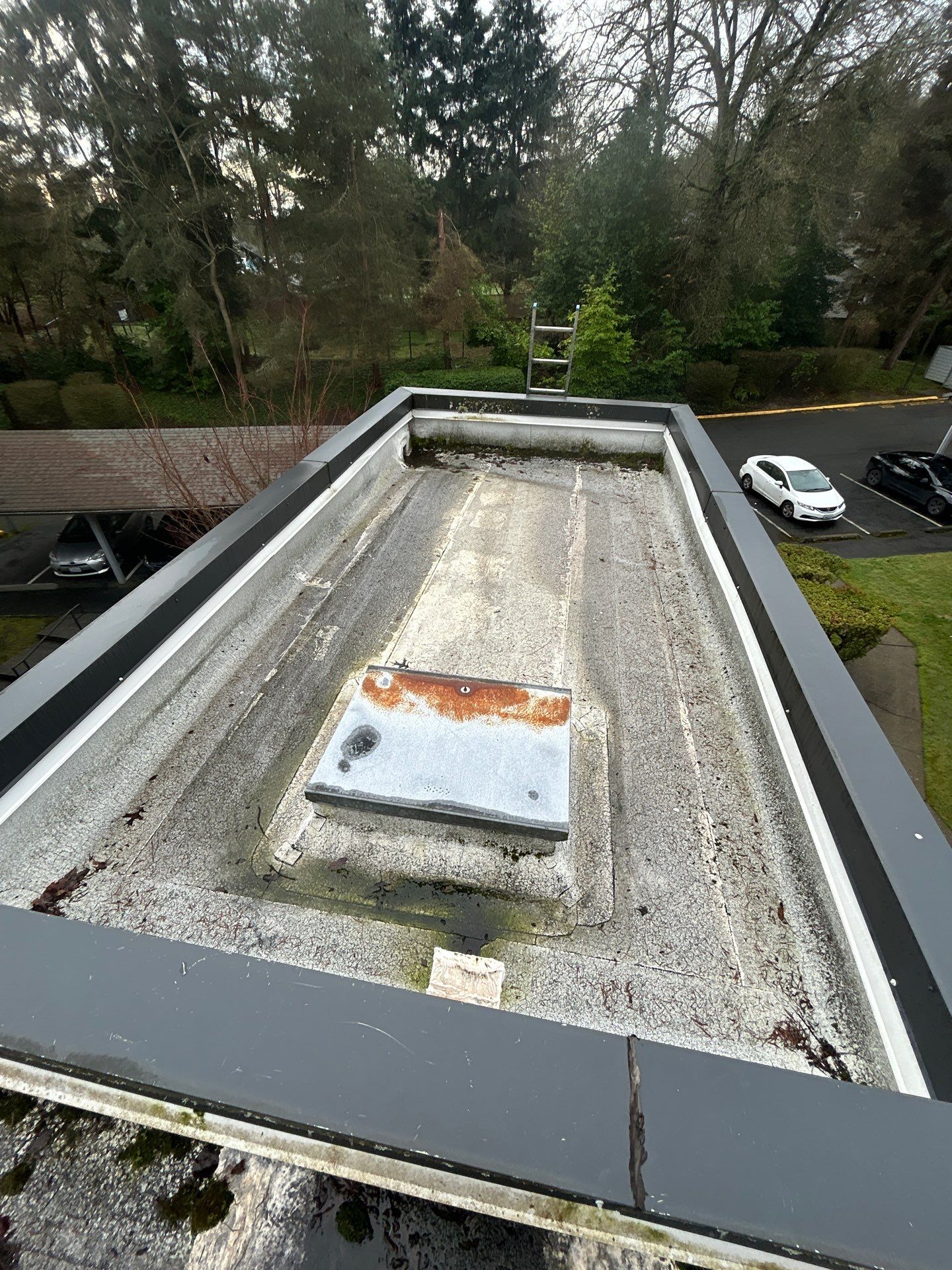 Project in Kirkland by Connolly Construction Company