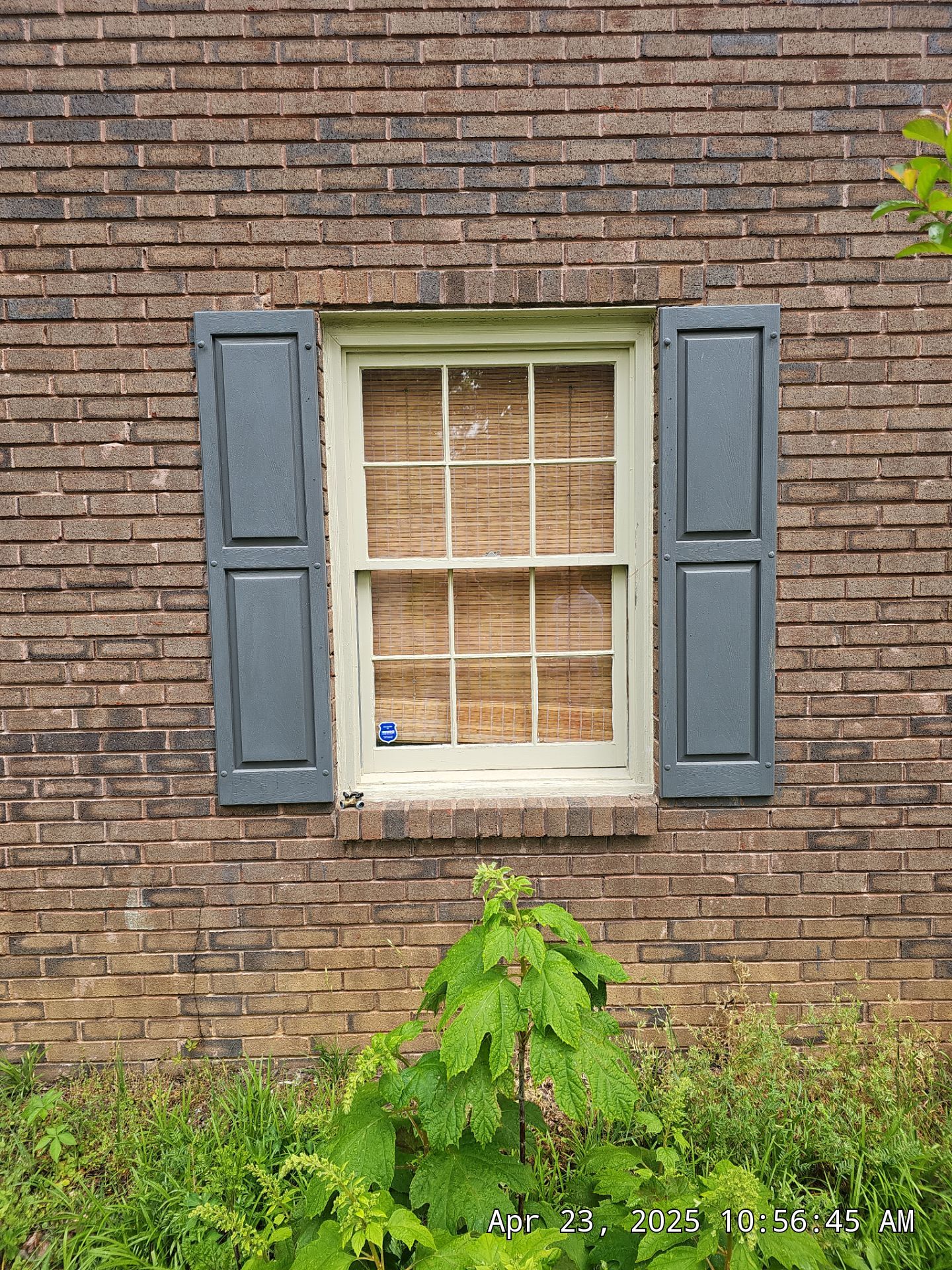 Pantanzis Project in Birmingham by The Window Source