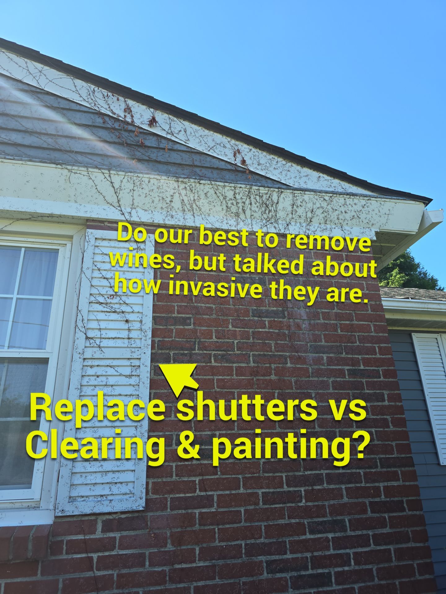 Exterior Painting using Benjamin Moore Regal Select by The Persnickety Painters