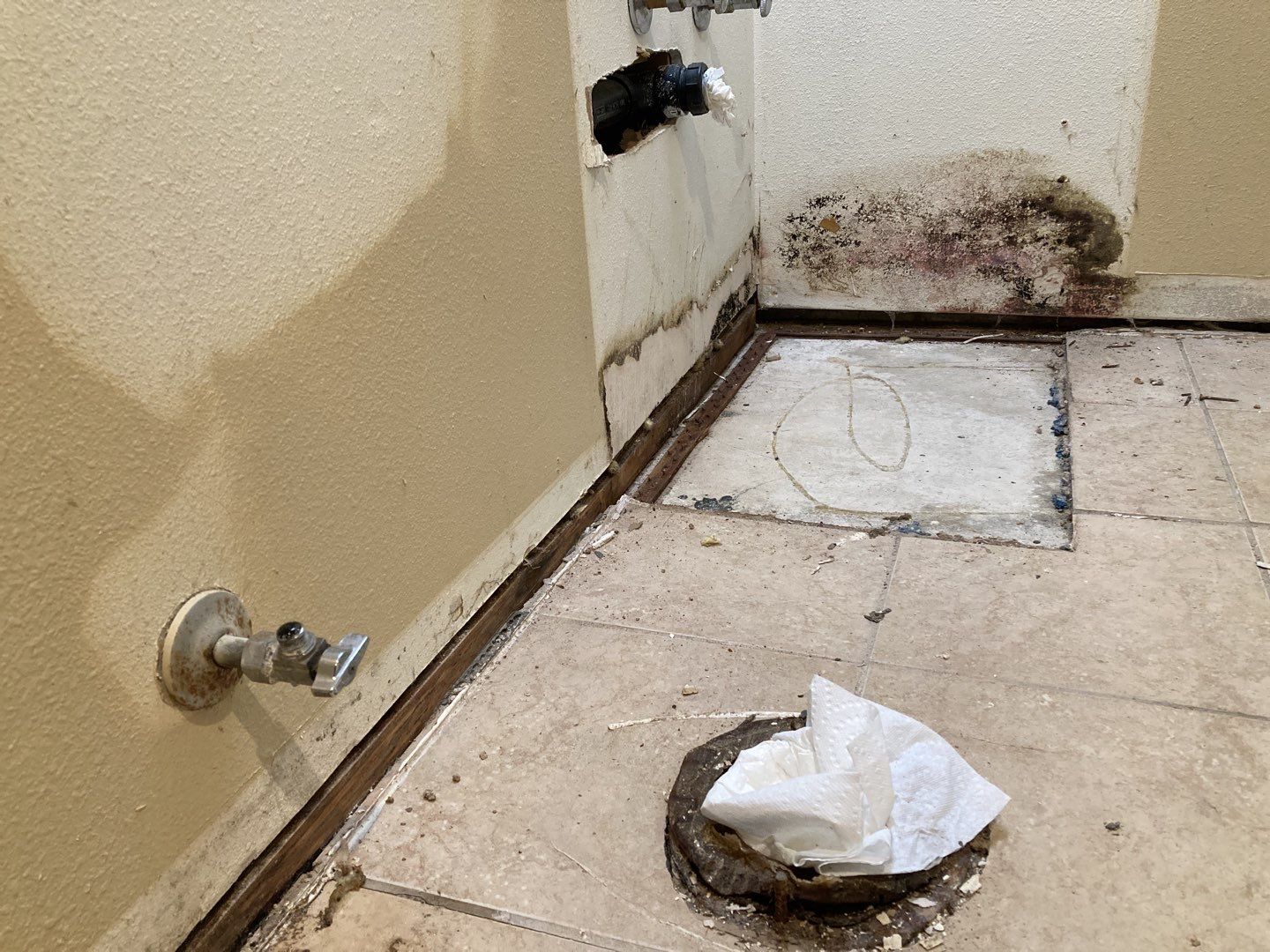 Mold Remediation by Accountable Home Services