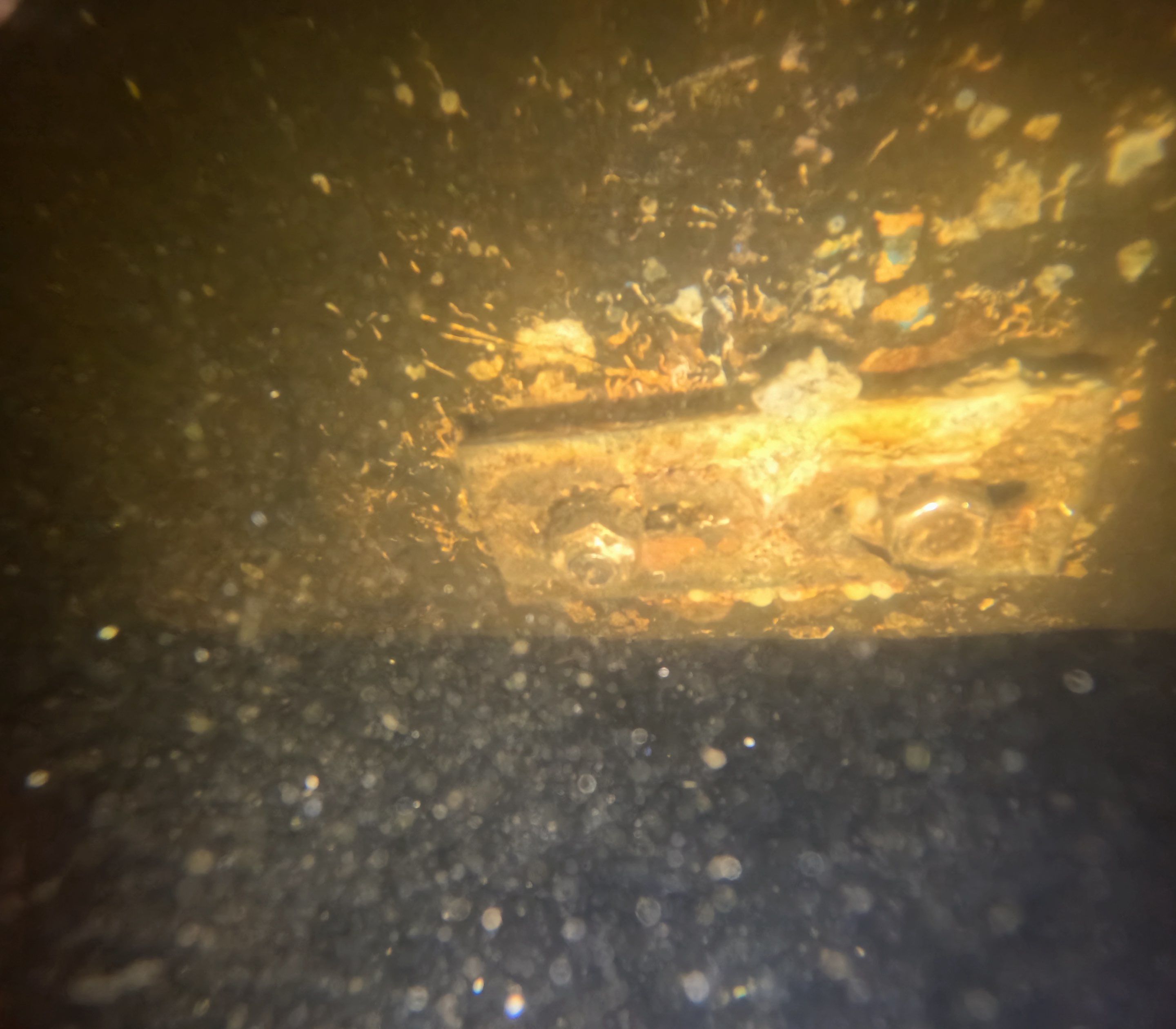 Project in North Fort Myers, FL by Florida Hull Cleaning 