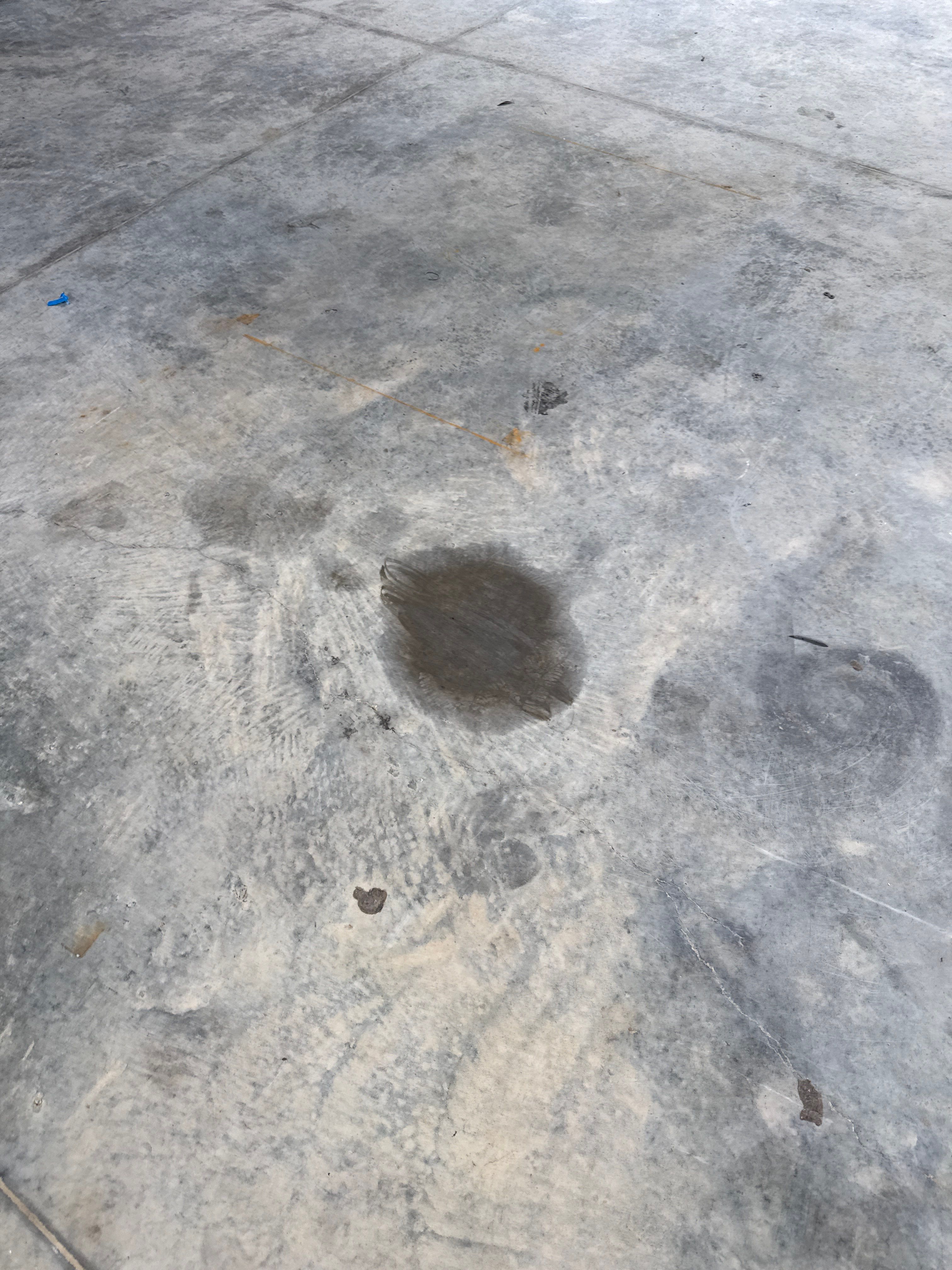 Industrial Epoxy Flooring for Sandhill Crane Workshop in Gautier by Cornerstone Hard Surface Restoration 
