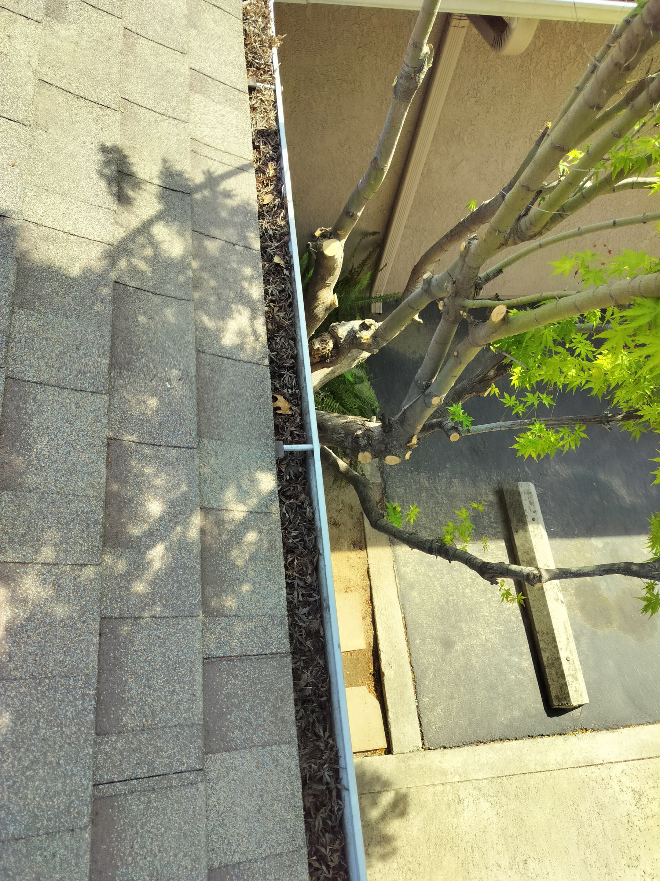 Commercial gutter cleaning Fresno, CA before photo with filled gutters