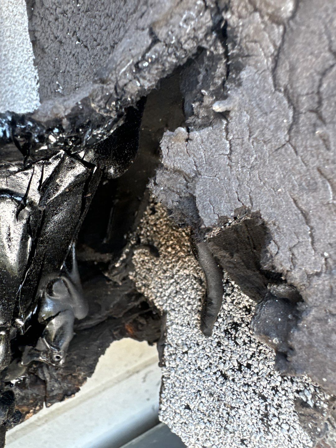 Project in Baltimore  by Elvis General Construction LLC