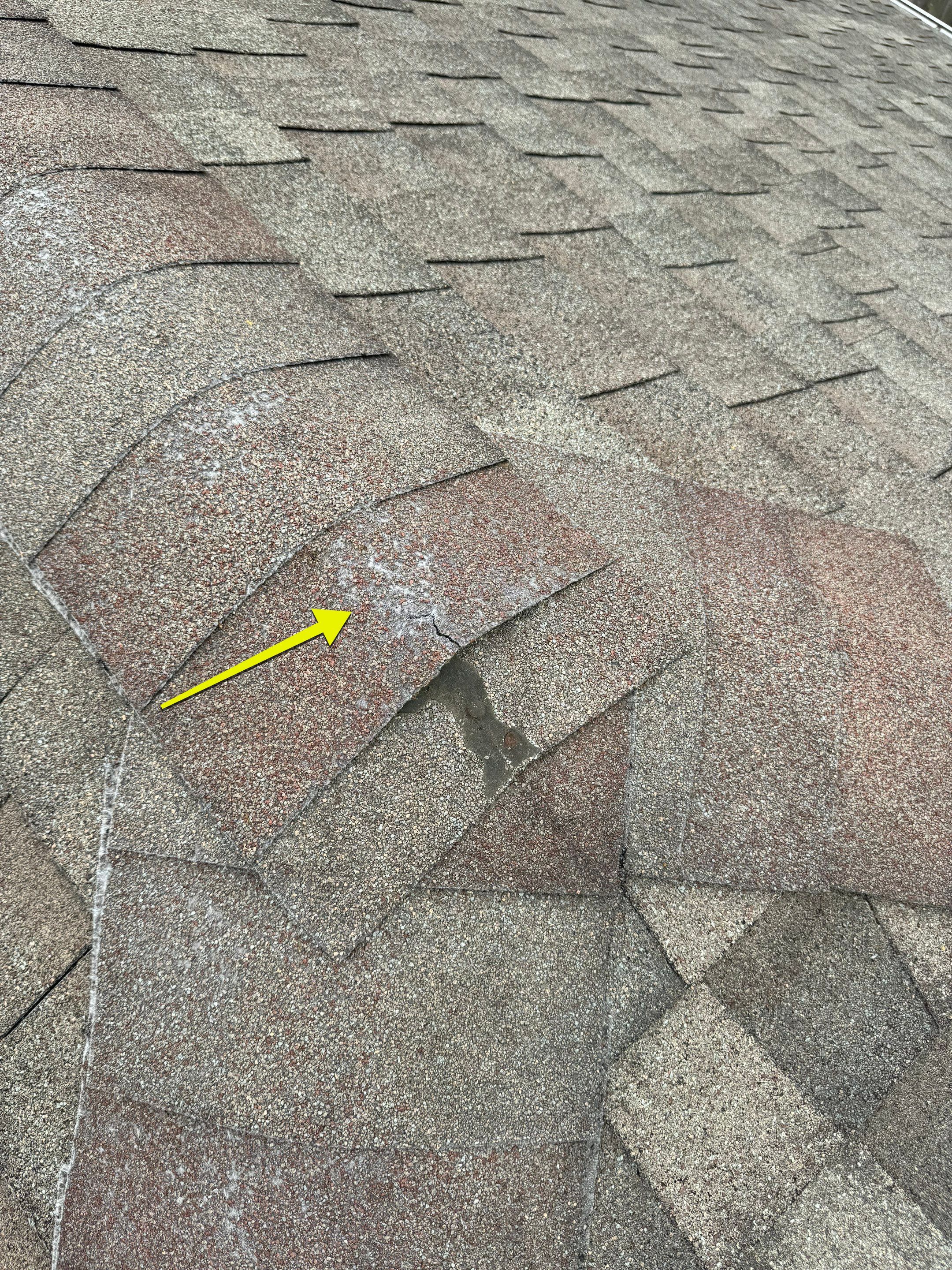 Residential Roofing & Gutter Installation using IKO Dynasty by Core Four Roofing