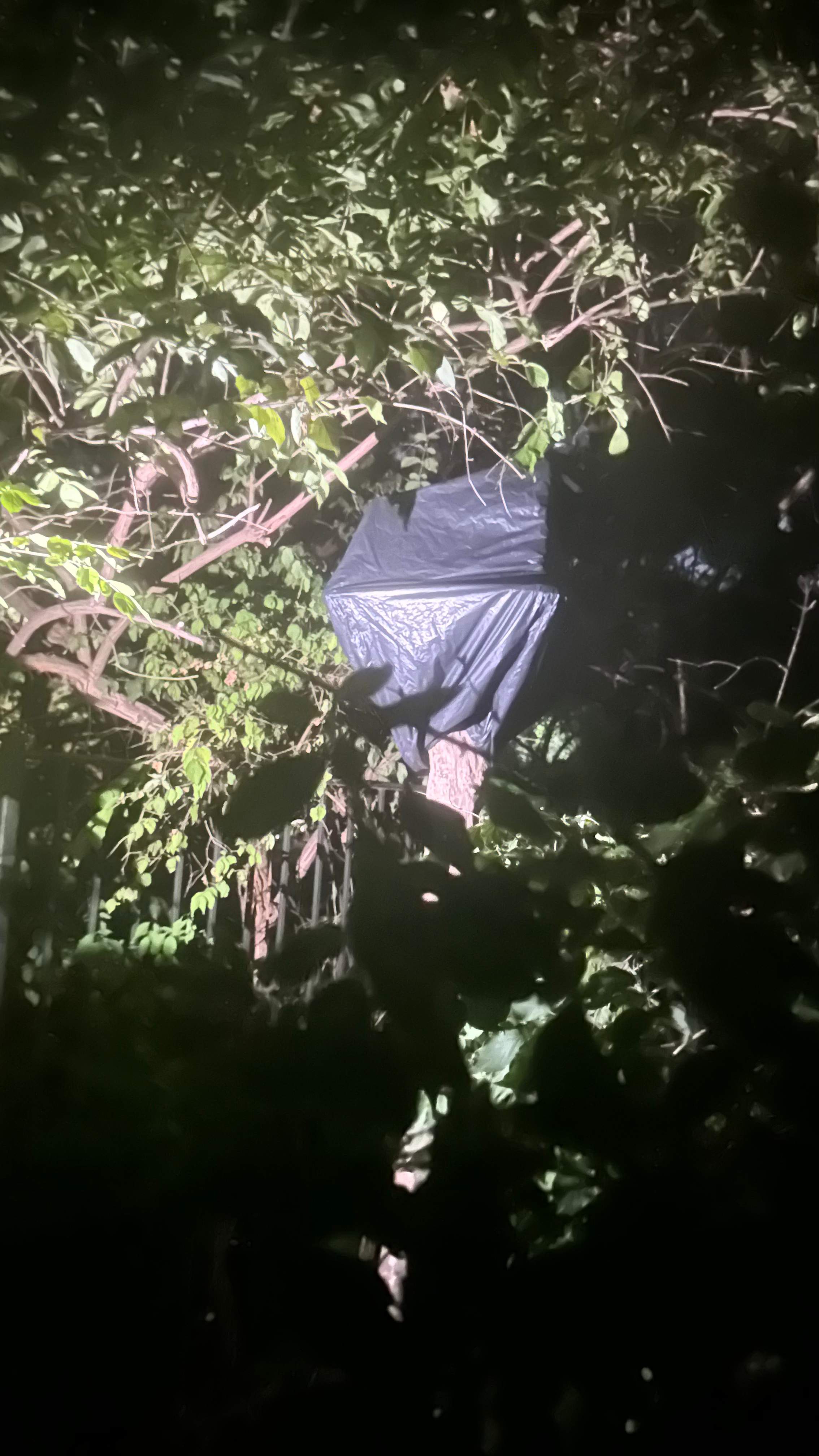 Bird Houses by Rockwall Honey Bee Company