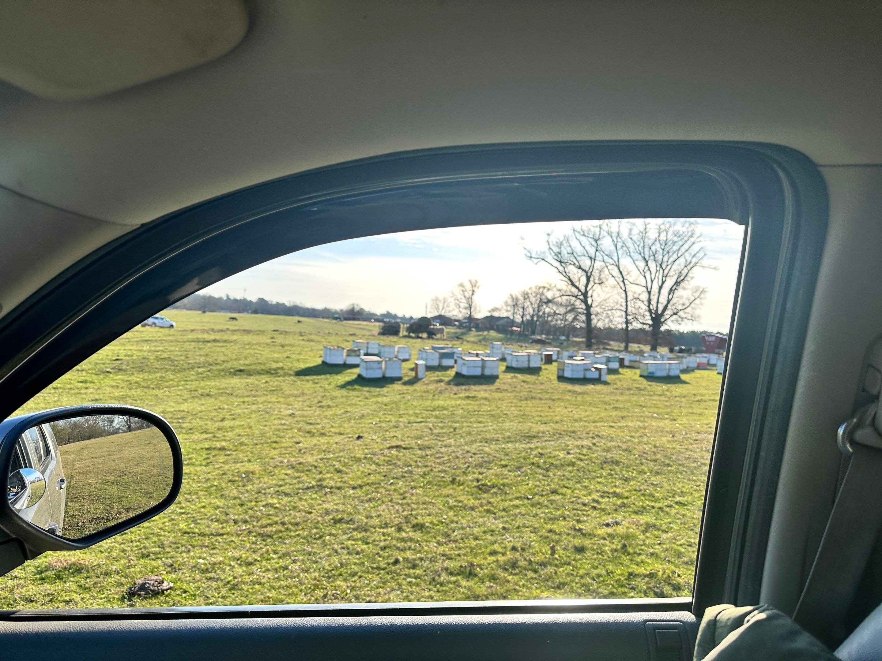 Clubb's Cow Farm Apiary by Rockwall Honey Bee Company