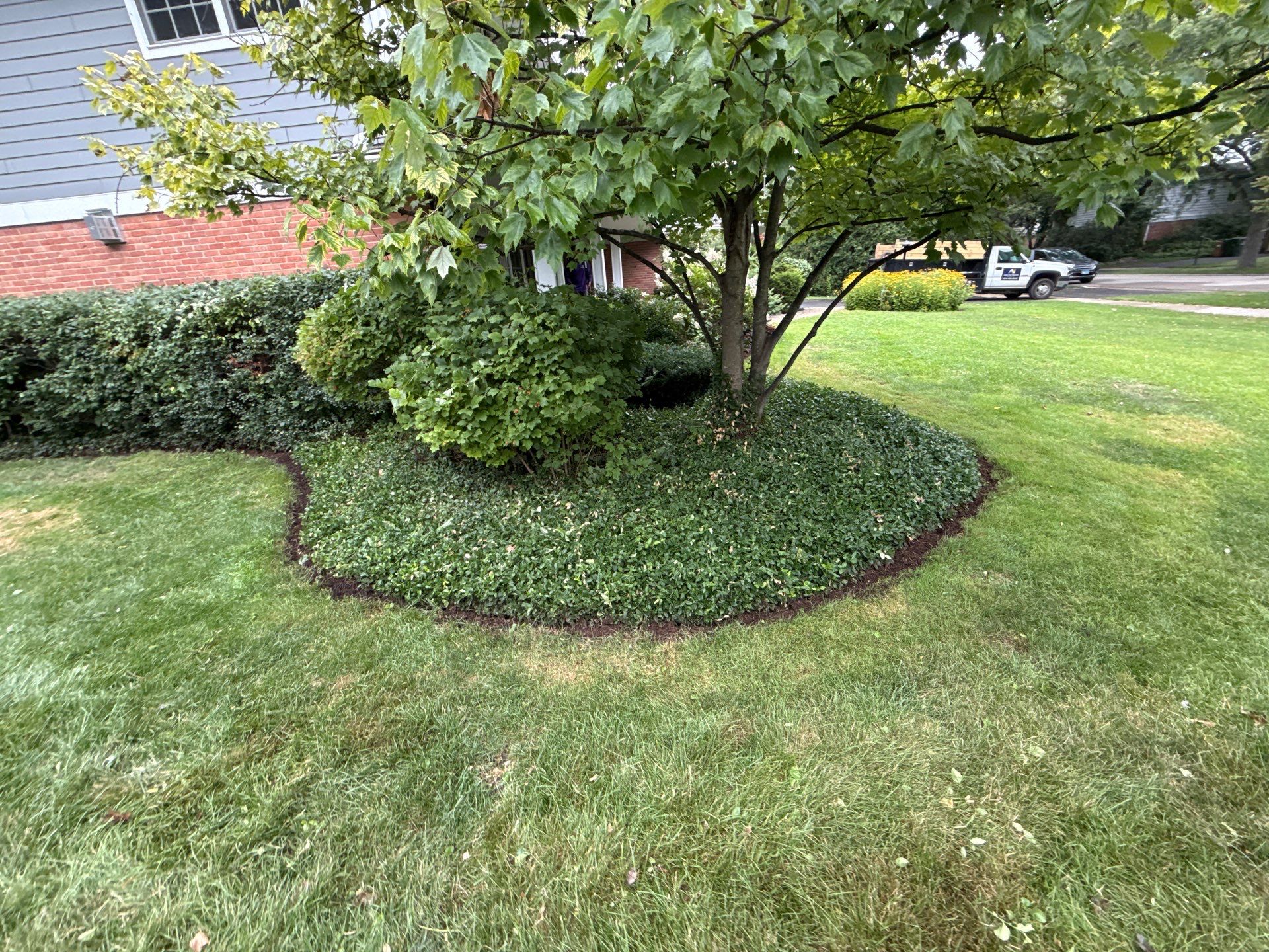 Christopher B. - Glenview, IL by A&N