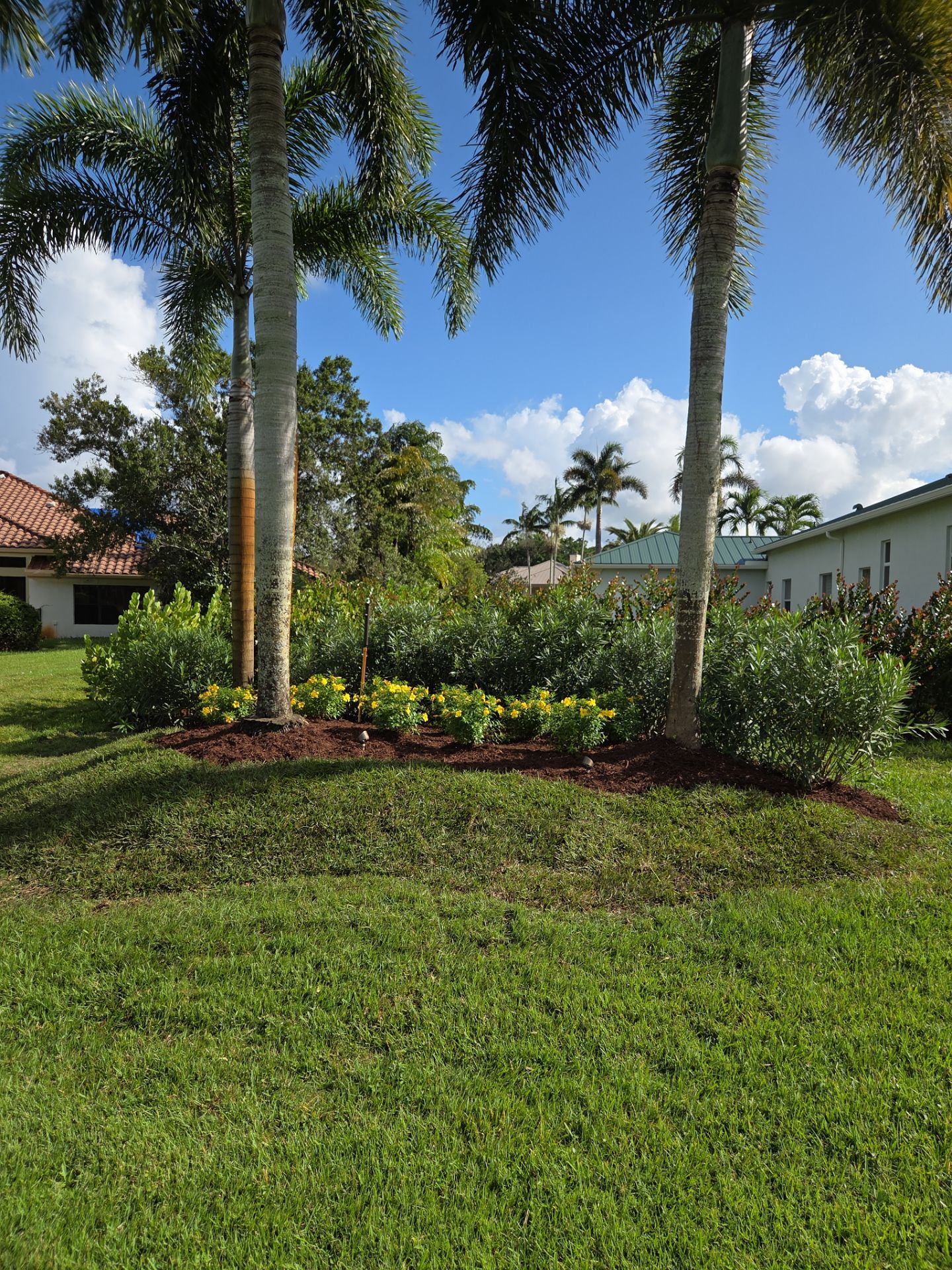 Palm City Revival at Pipers Landing by Alpha Zeta Enterprises Inc