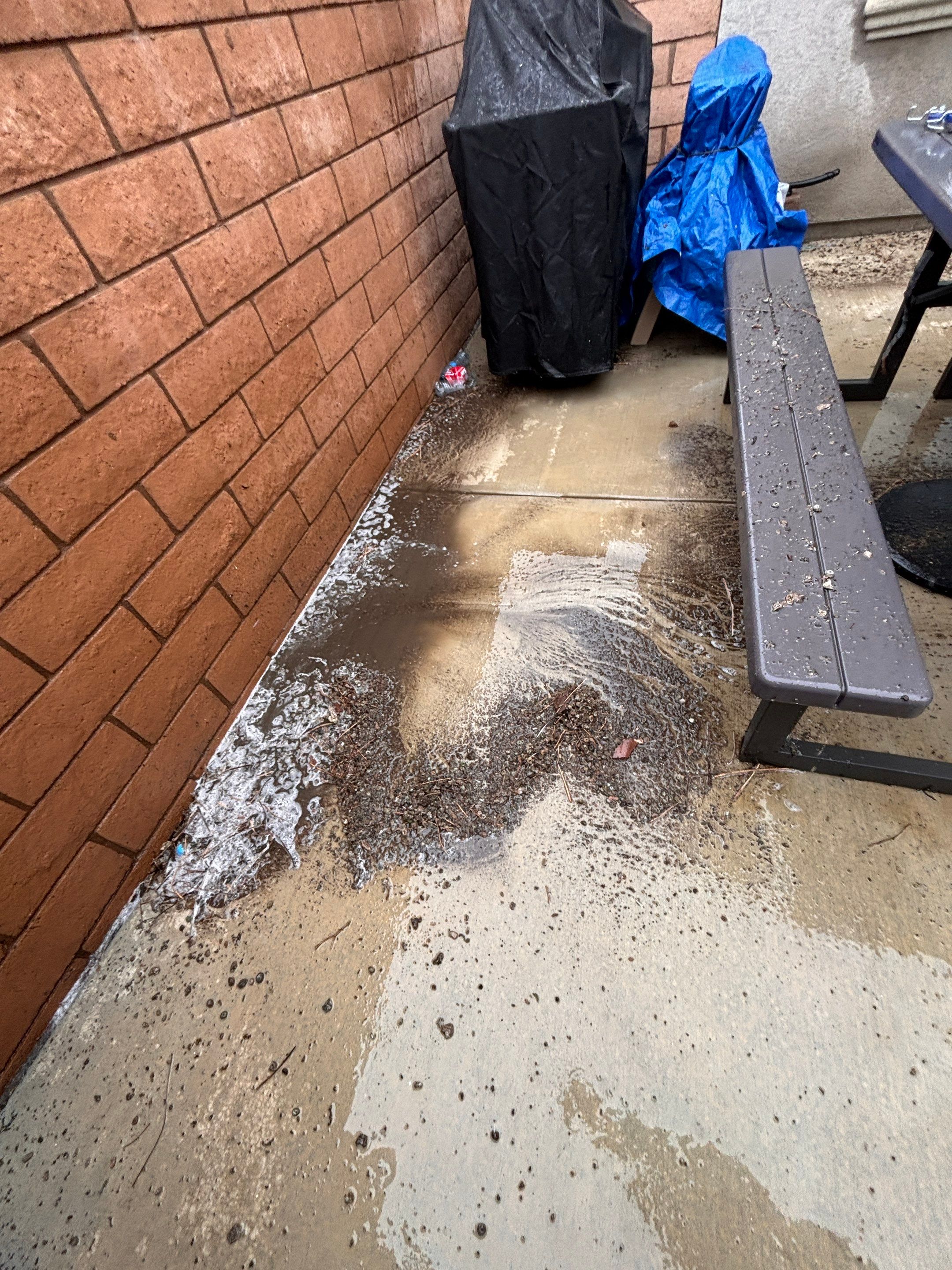 Solar Panel Bird Proofing in Fontana Ca by Palm Coast Solar Cleaning