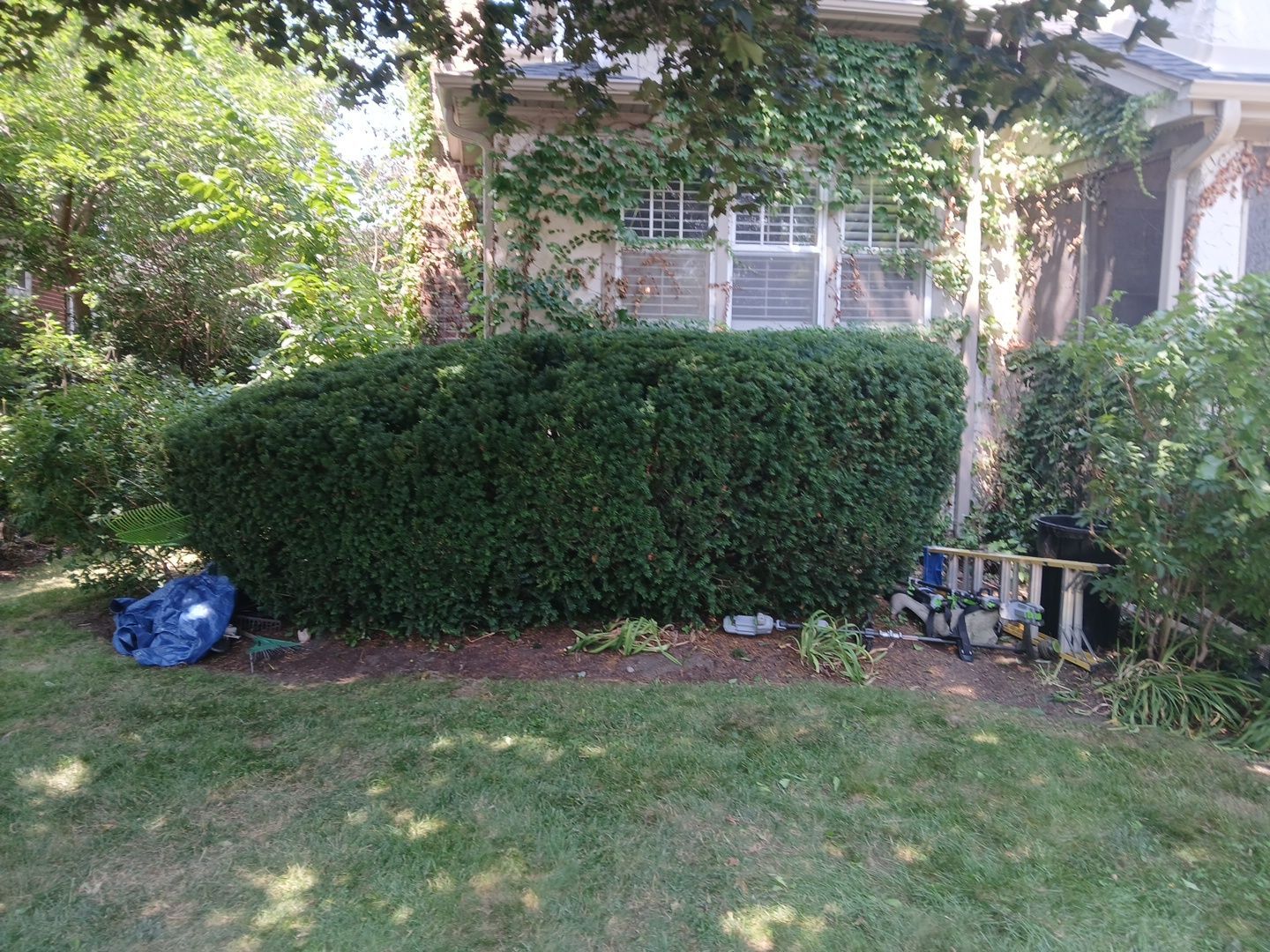 Suzanne V. - Mount Prospect, IL by A&N 