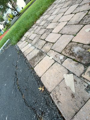 Gutter Cleaning in Parsippany, NJ — Gallo Bros job photo