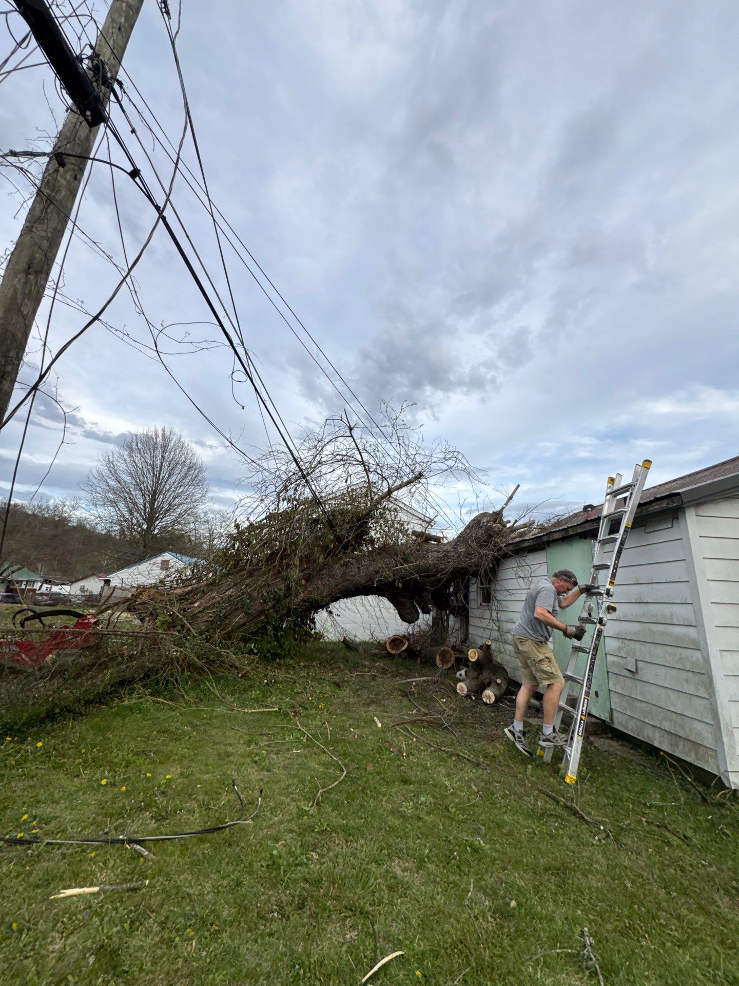 Project in Nitro, WV Rotator Crane Lifts Tree Off House | Nitro WV • One Wrong Move Job | Rotator Crane Tree Removal • Heavy Rescue Tree Job | Nitro WV • Extreme Tree Removal Over Home | Nitro WV by Jones Empire LLC