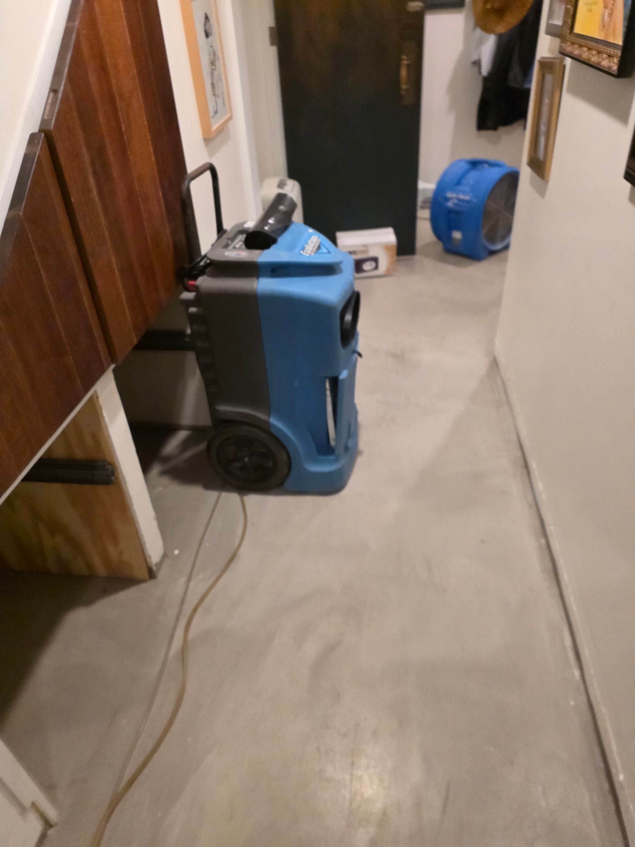 Anna and Allan Branch  by Service Restoration