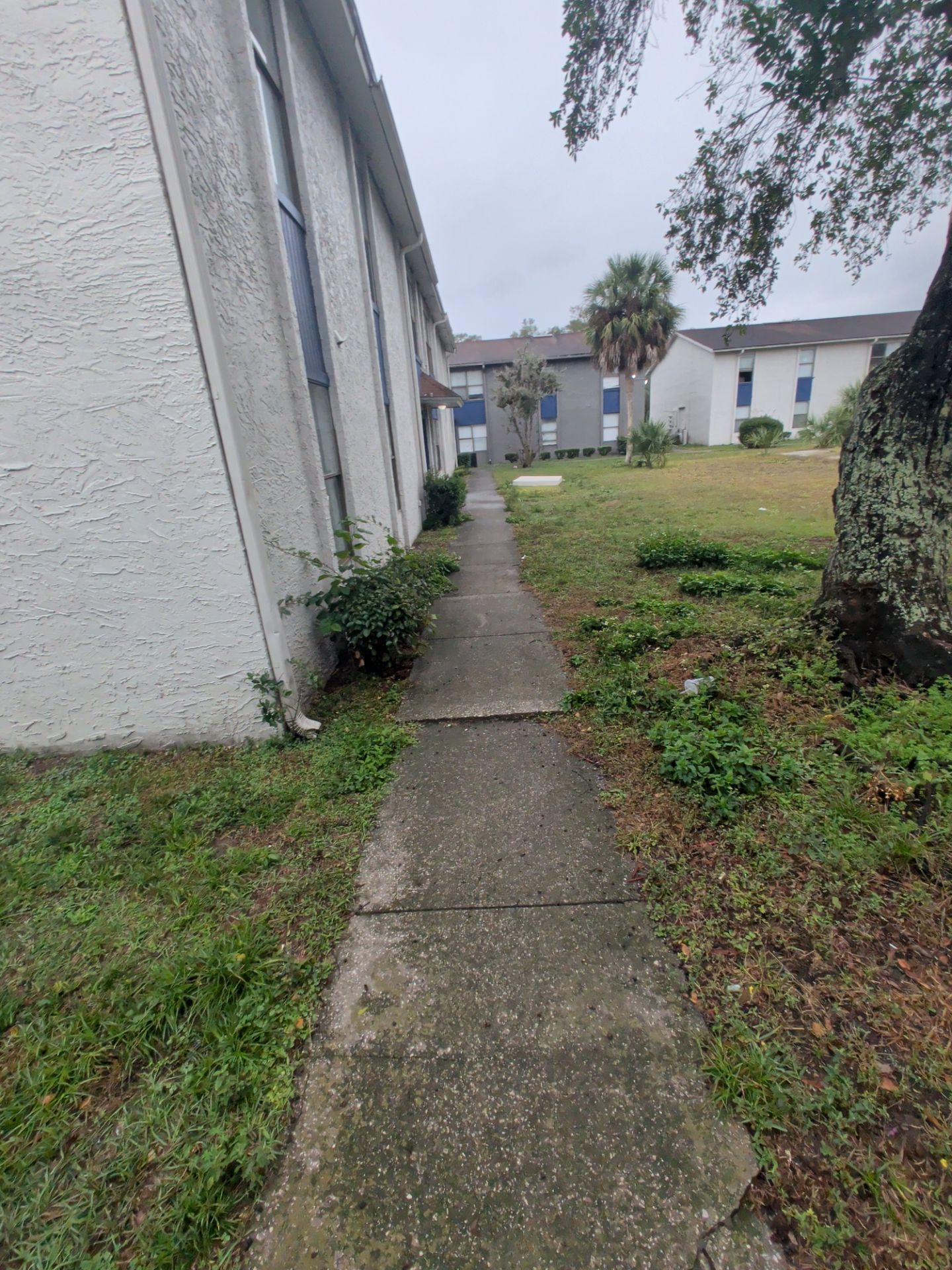 Commercial Landscape Cleanup & Weekly Maintenance — Grassy Pond Apartments by Harmoni Home Services