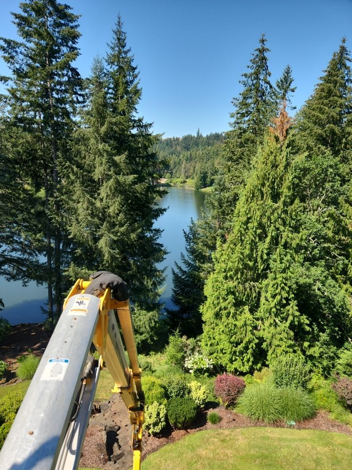 Moss Removal/ Treatment using Biocide by Willamette Outdoor Wash LLC