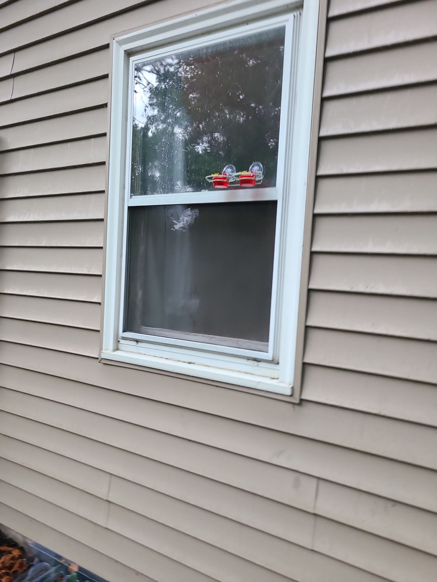 Double Hung Windows by Aspen Home Improvements