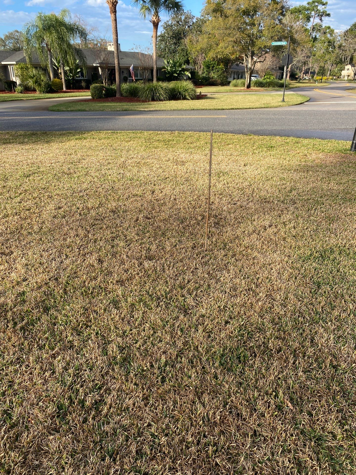 Deerwood | Live Oak Planting Project  by ProGreen Services
