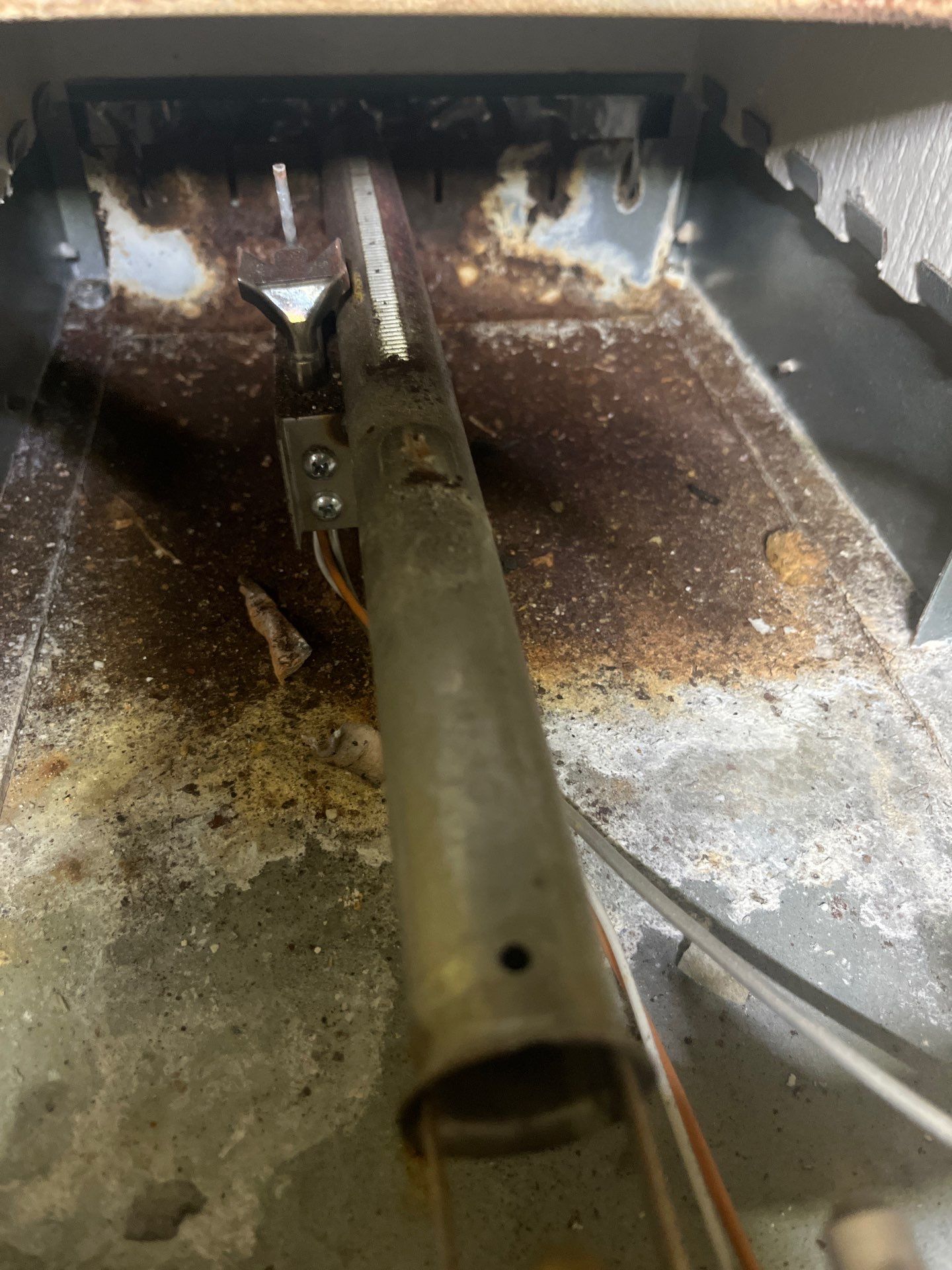 Annual Gas Boiler Service — Marblehead, MA.  by FAGONE MECHANICAL