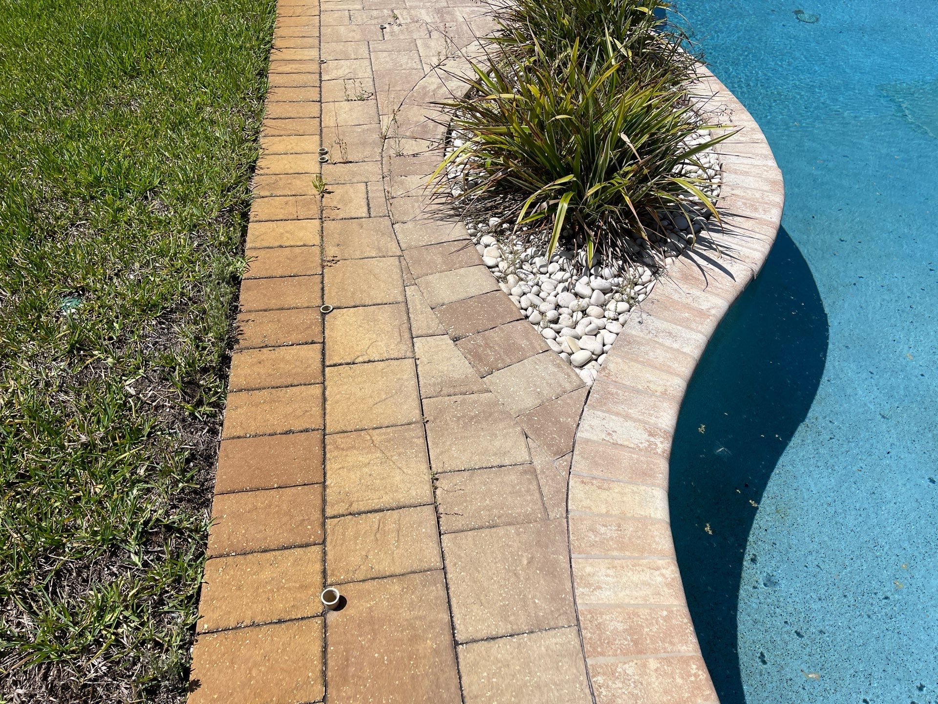 Pool Deck using TopSeal by DuraSeal