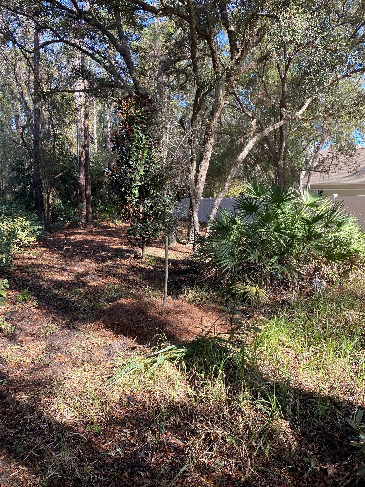 Deerwood Resident | Tree Installation by ProGreen Services