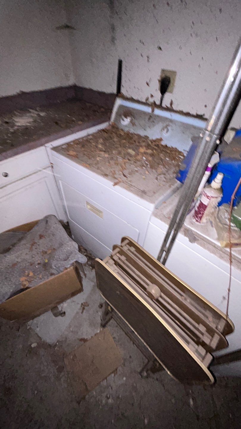 Mold Remediation by Accountable Home Services