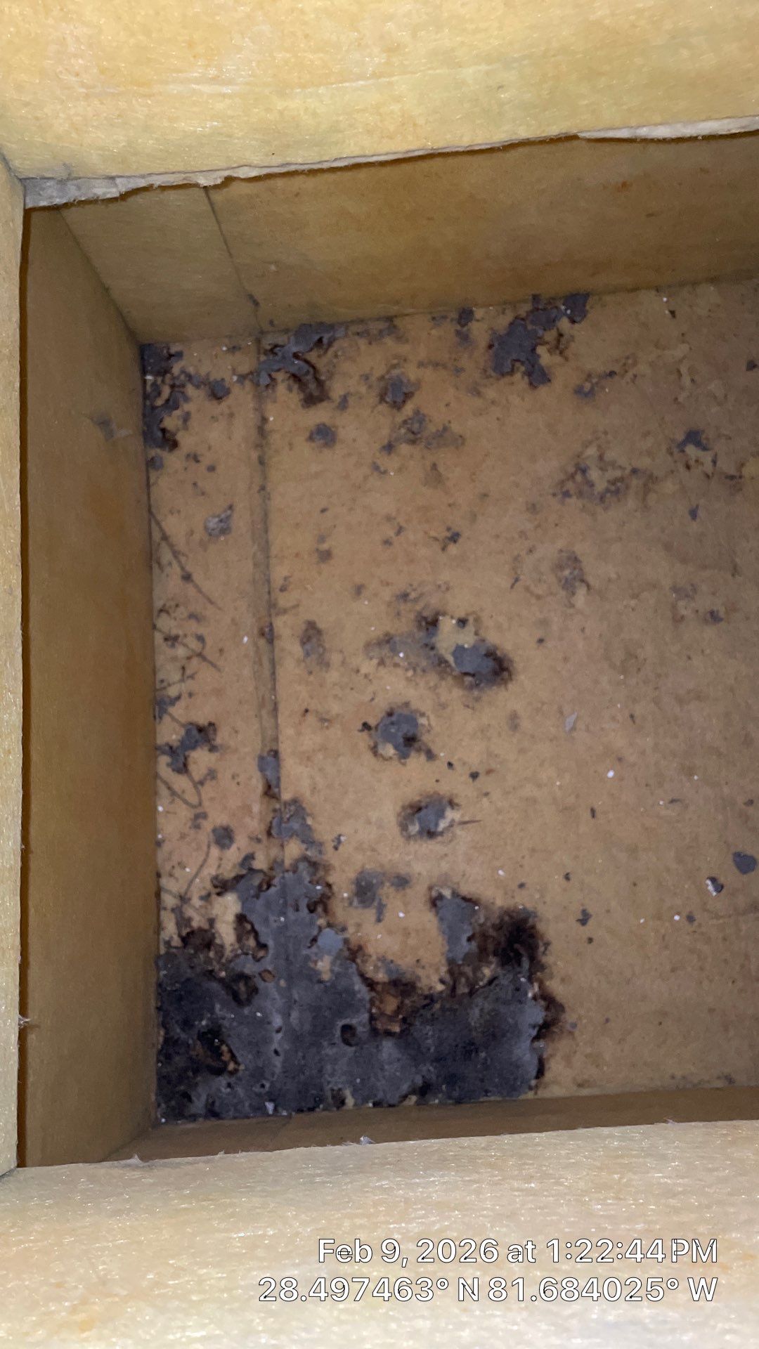 Air Duct Cleaning in Clermont by Hygienic Air, Inc