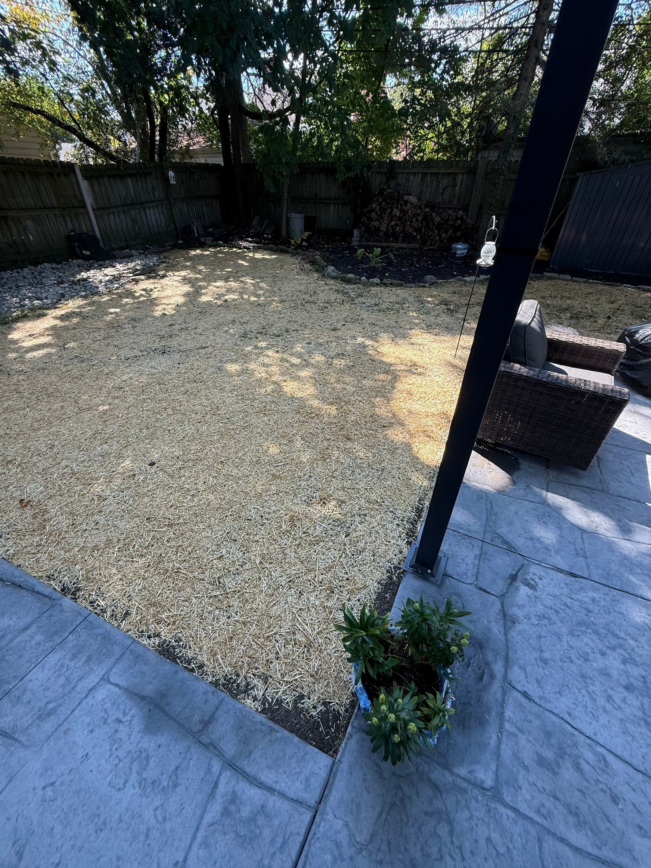 Shade Lawn Repair by Elm Rose Gardens