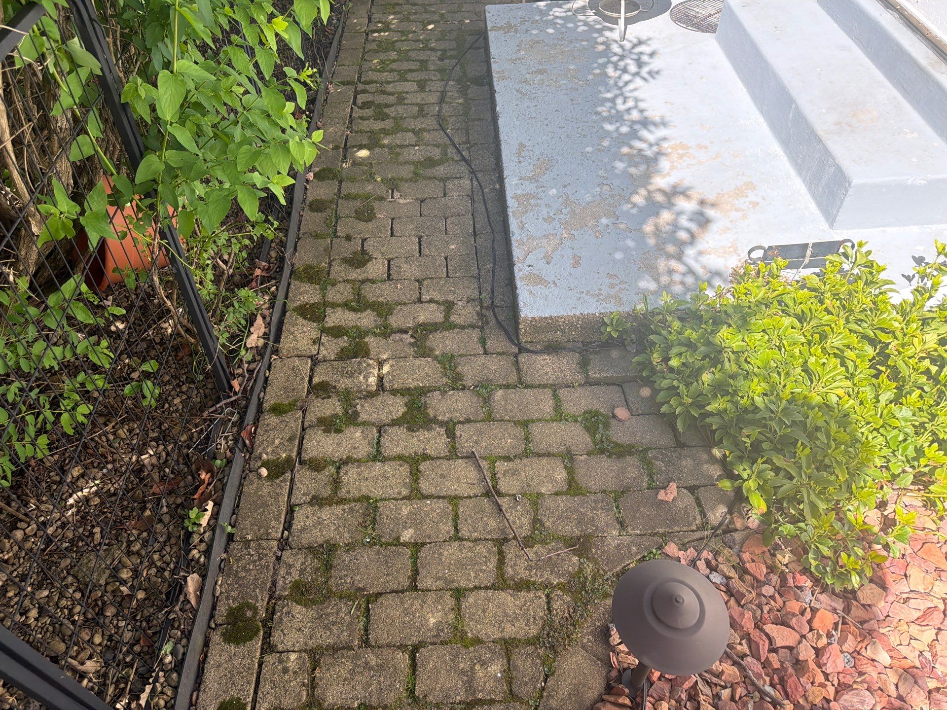 Brick Paver Cleaning and Polymeric Sand Installation by Northern Power Washing LLC.