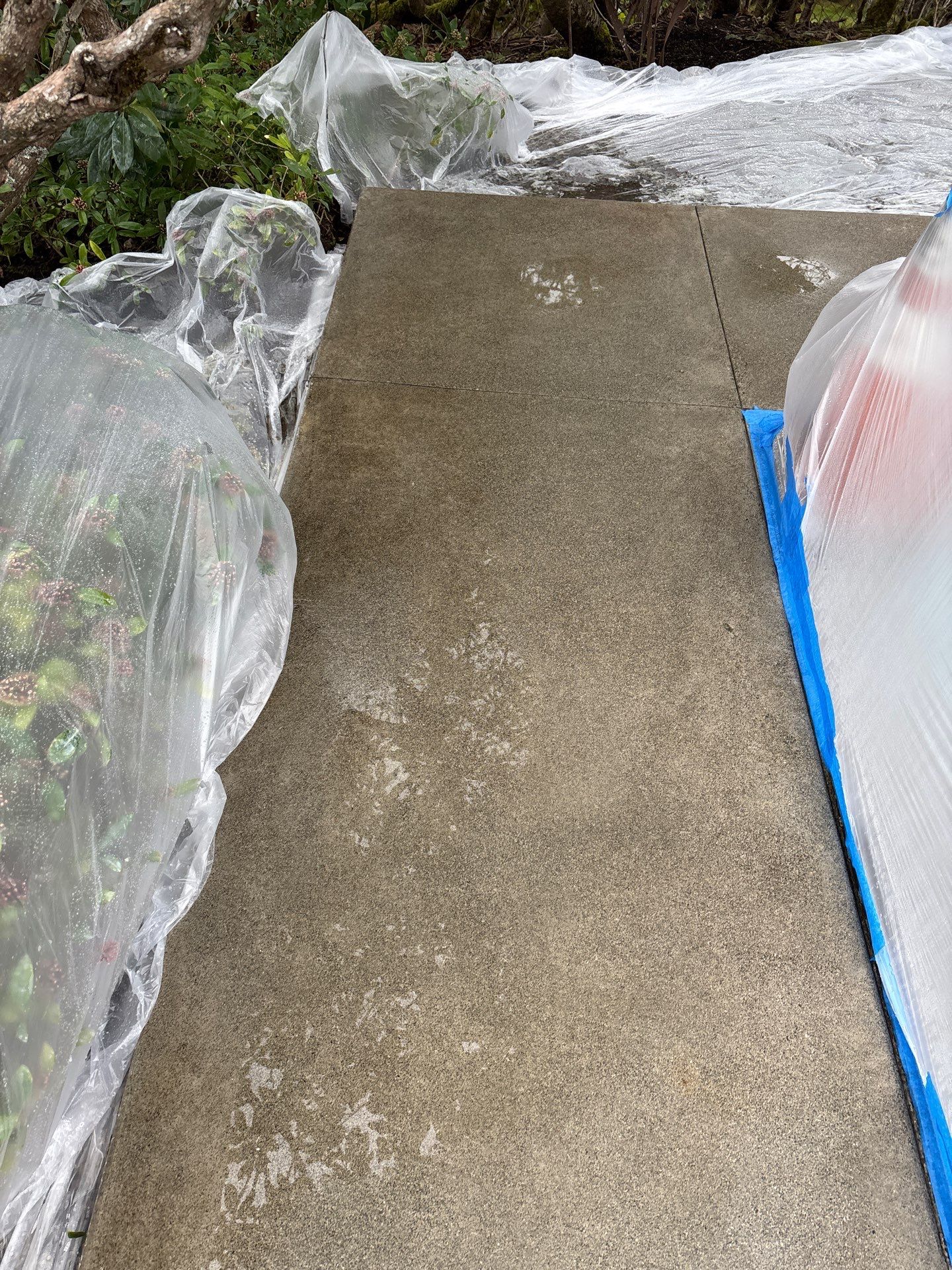 Concrete Patio Renovation | Mukilteo  by Jireh Asphalt & Concrete Inc 