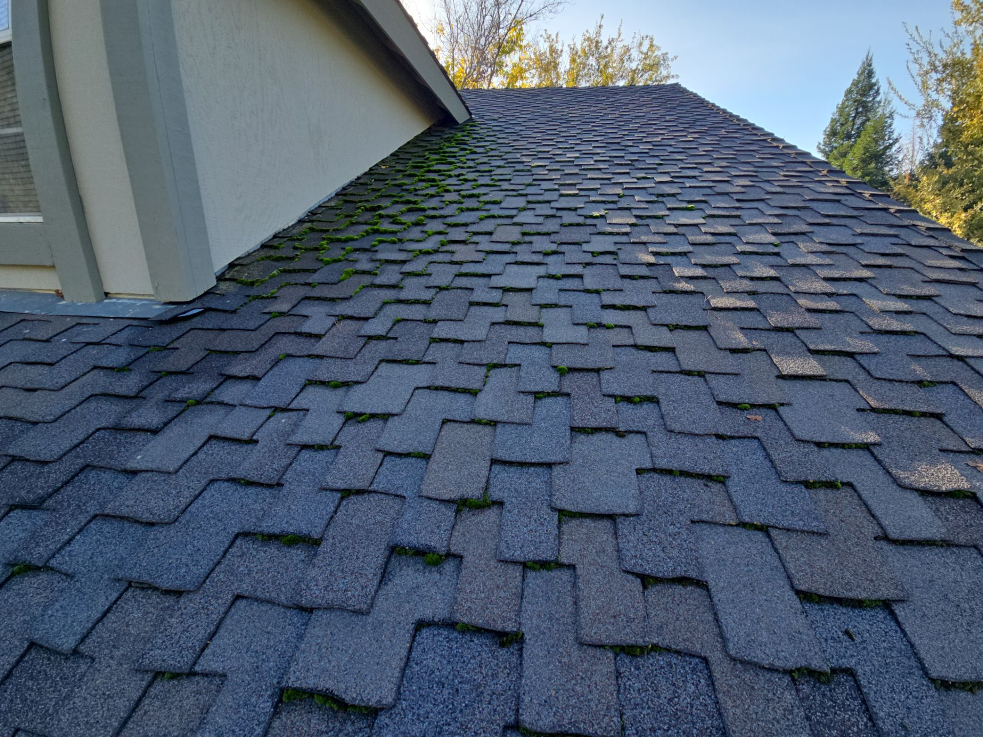 Roof Rejuvenation using Roof Maxx Treatment by Roof Maxx of Folsom